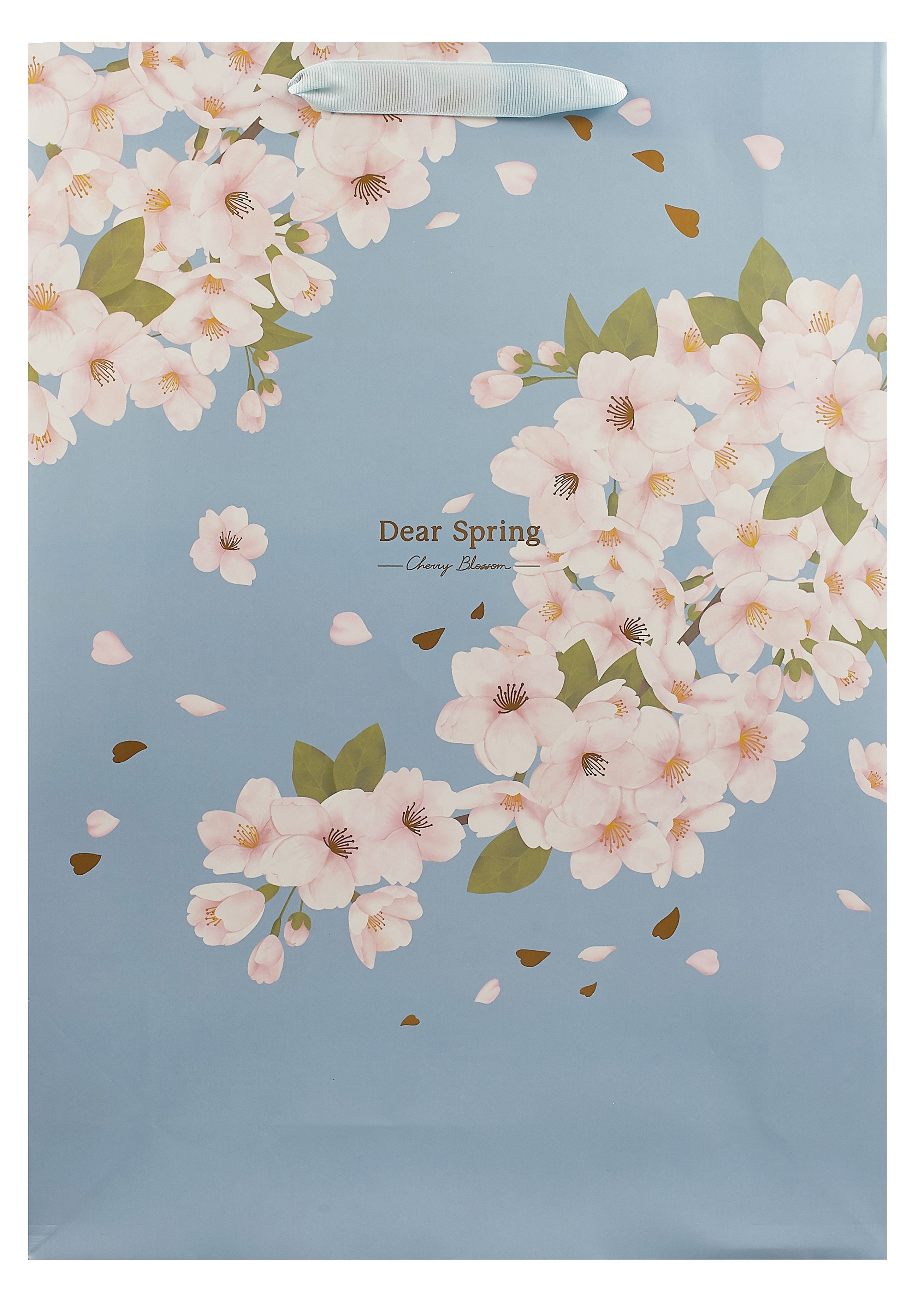 

Пакет А3 46*33*10 "Dear spring" жен., бум.мат