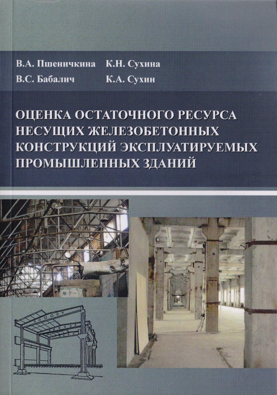 

Оценка остаточного ресурса несущих железобетонных конструкций эксплуатируемых промышленных зданий