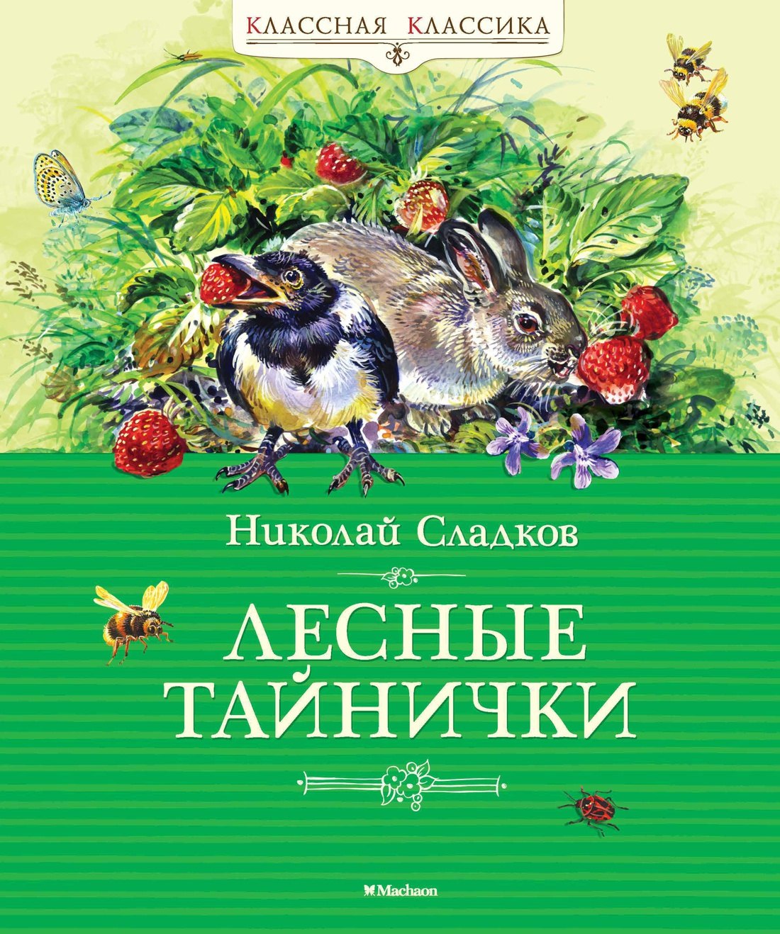 

Лесные тайнички
