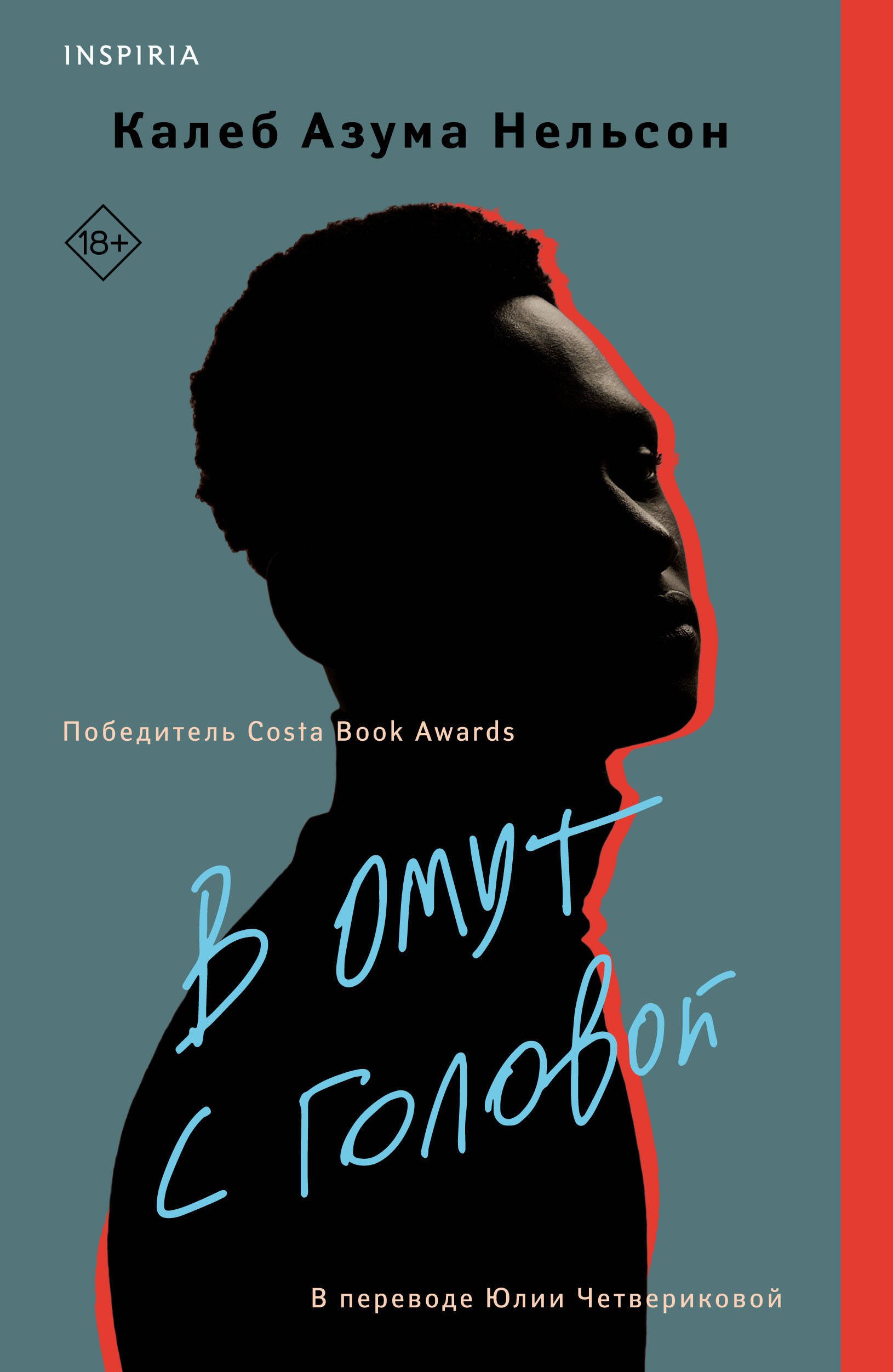 Прыжок в омут. Почему бы и нет картинка. Книга всему голова. Как в омут с головой. Эстетика чувств.