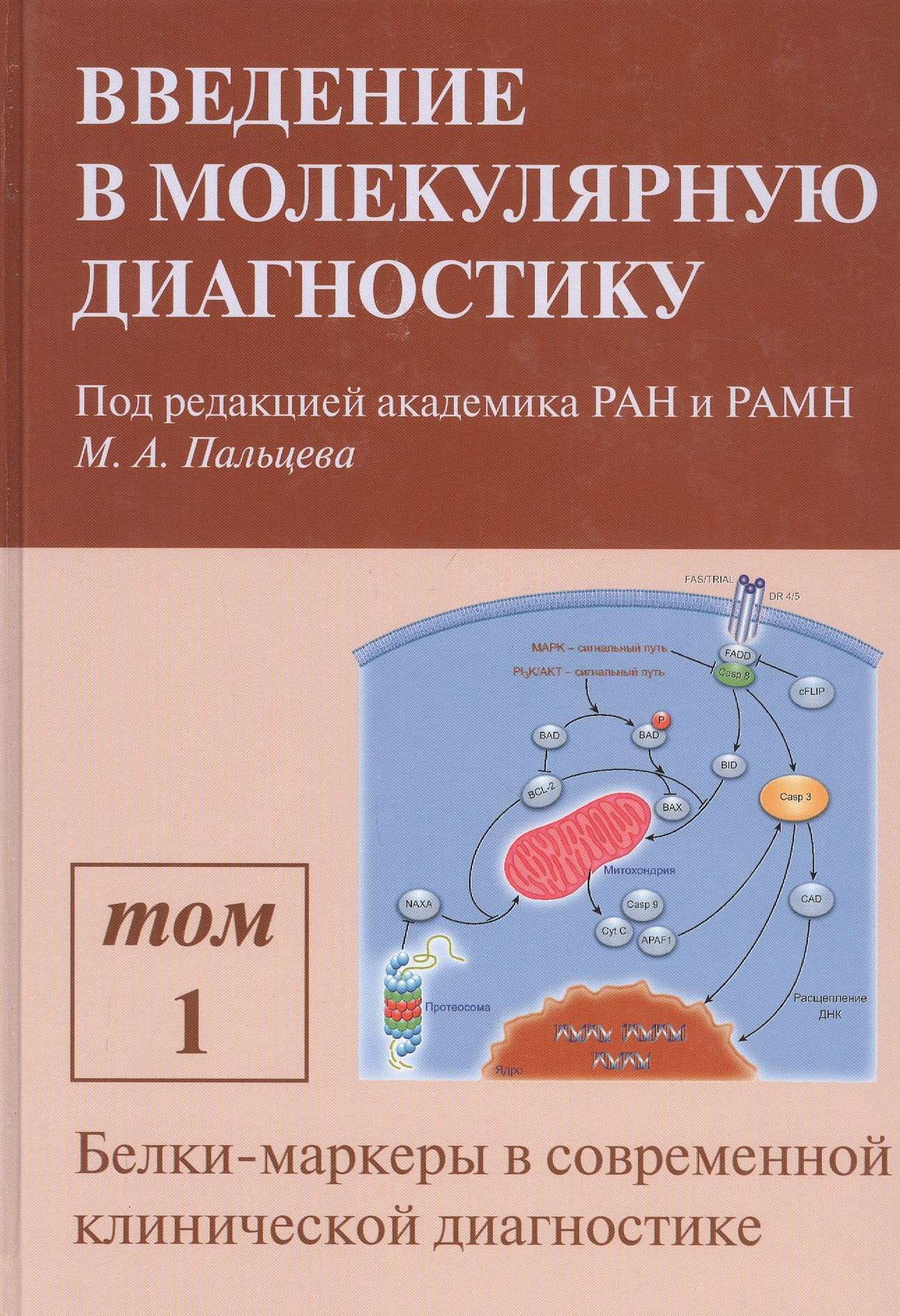 

Введение в молекулярную диагностику. В двух томах. Том 1. Белки-маркеры в современной клинической диагностике. Учебно-методическое пособие