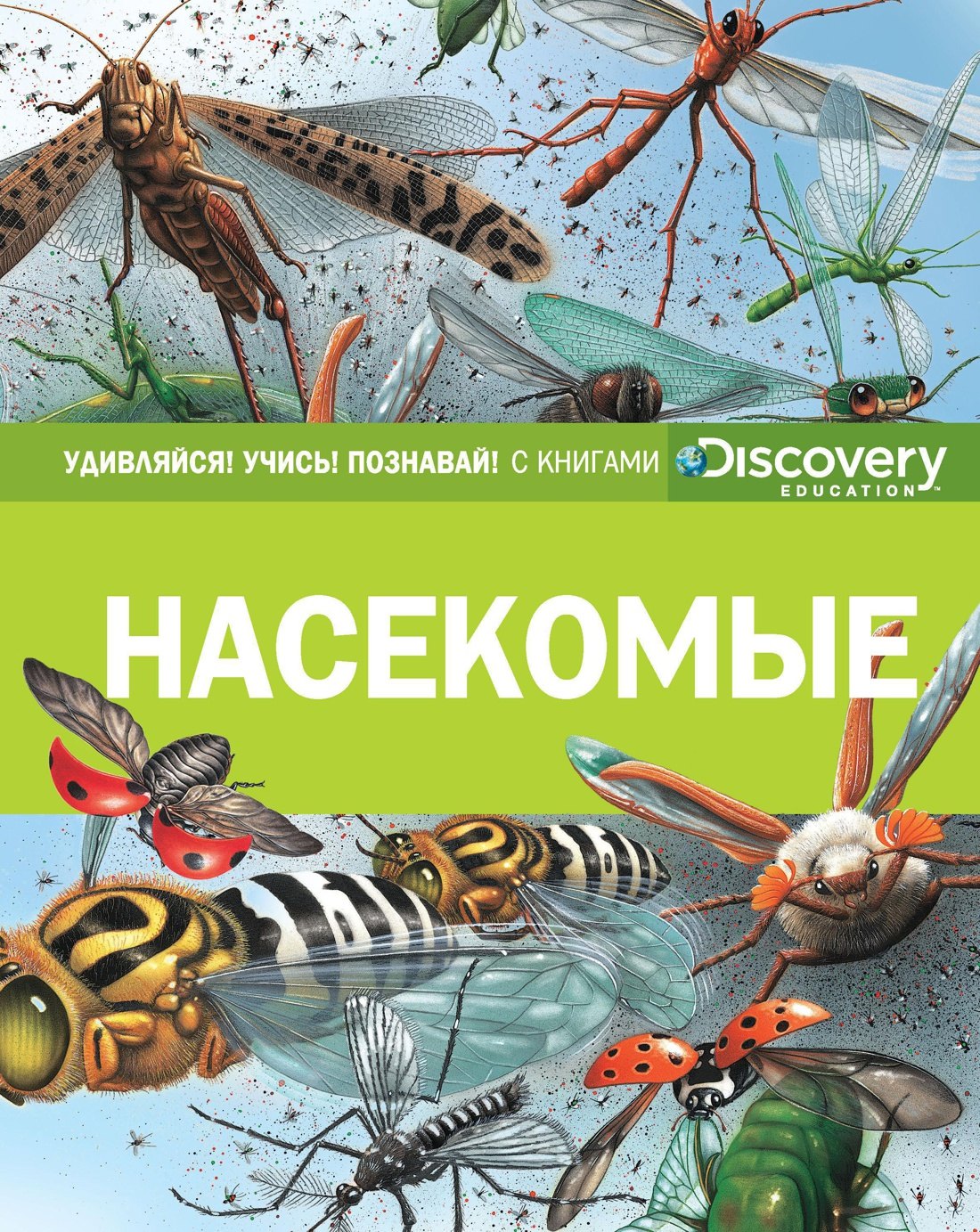 

Насекомые