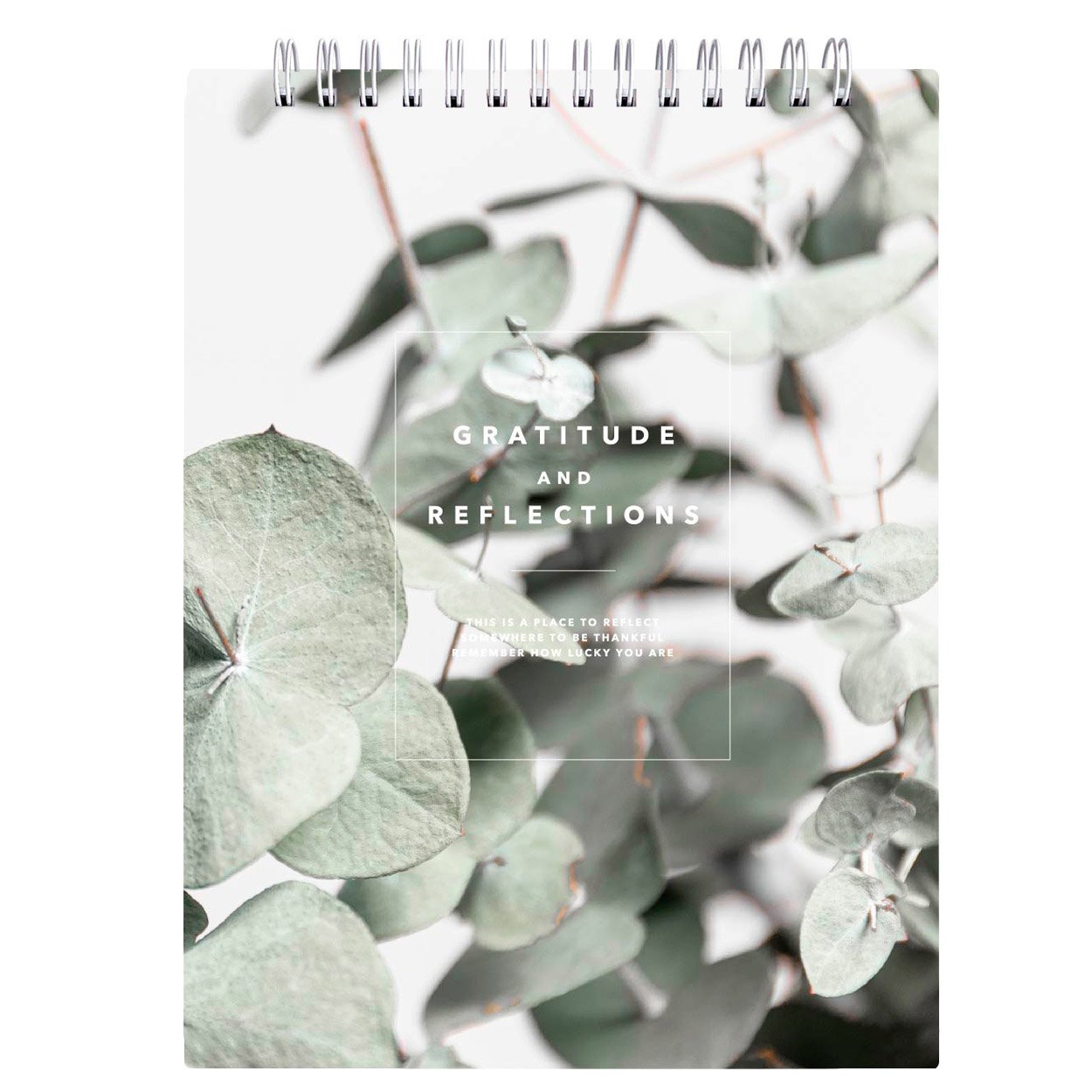 

Блокнот А5 80л кл. "Botanica", эвкалипт, карт.обл., спираль, ламинация