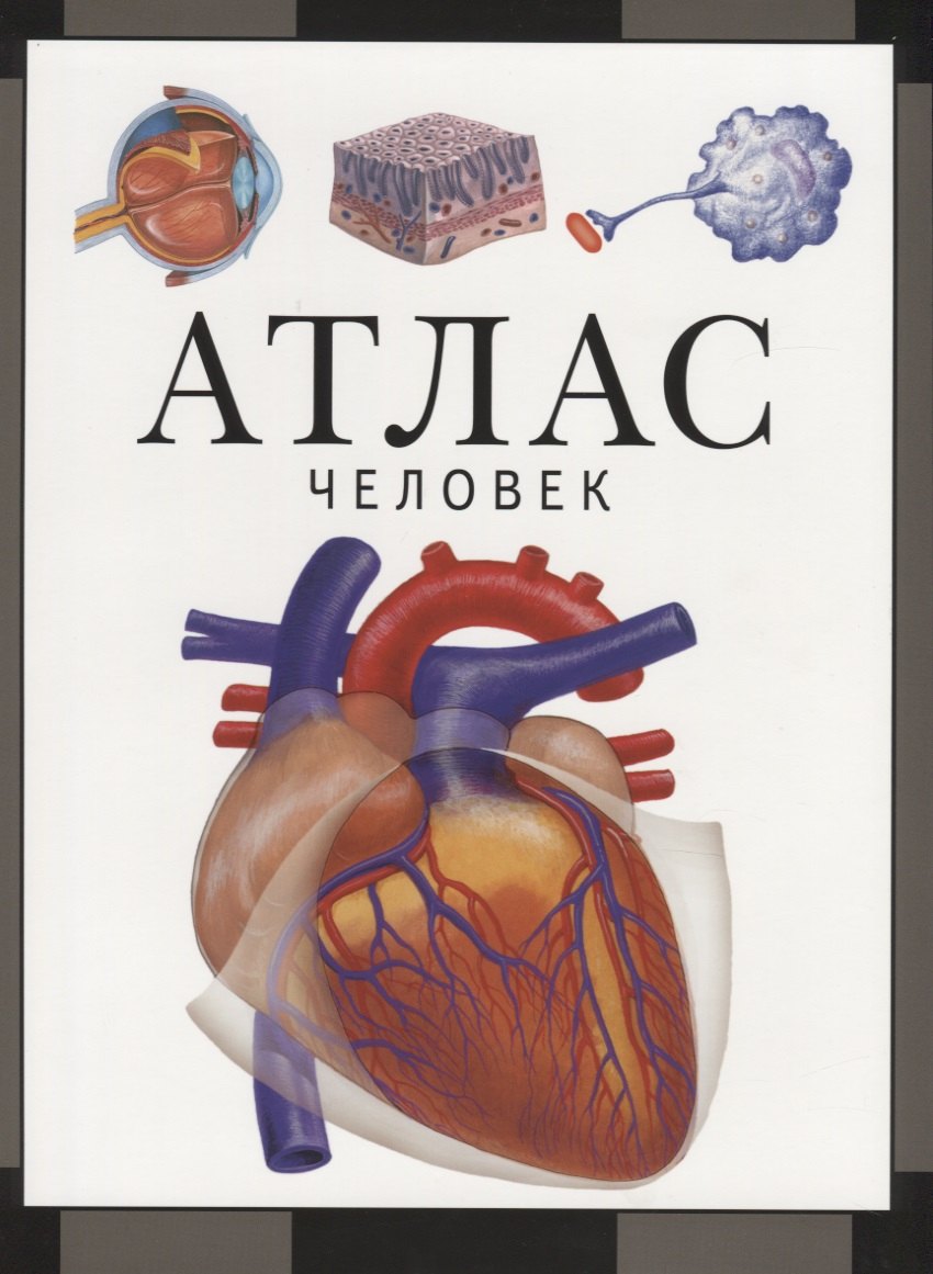 

Атлас. Человек