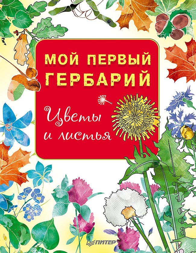 

Мой первый гербарий. Цветы и листья