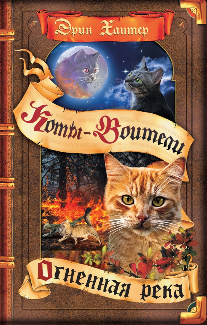 Огненная река 630₽