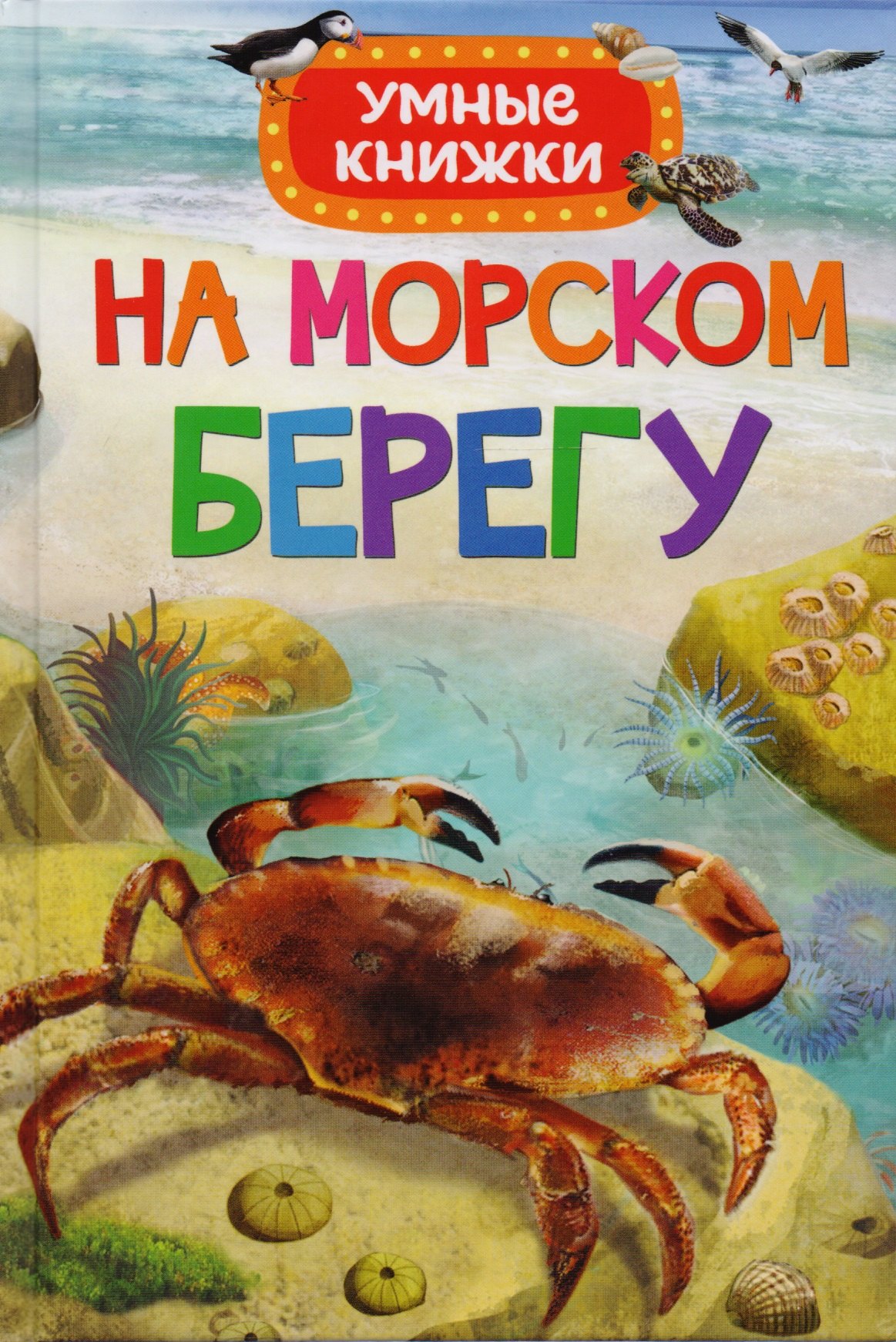 

На морском берегу