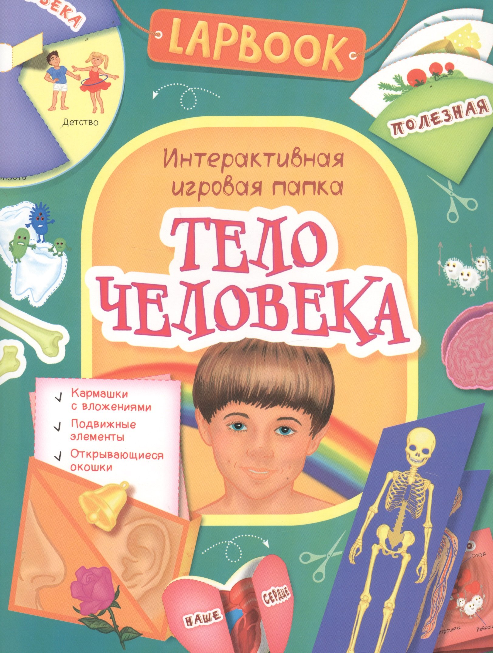 

Тело человека