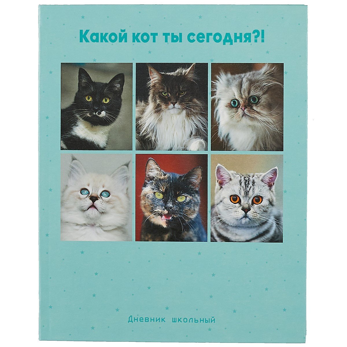 

Дневник для средних и старших классов Listoff, "Какой ты кот"