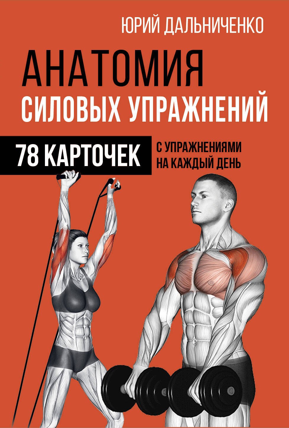 

Анатомия силовых упражнений