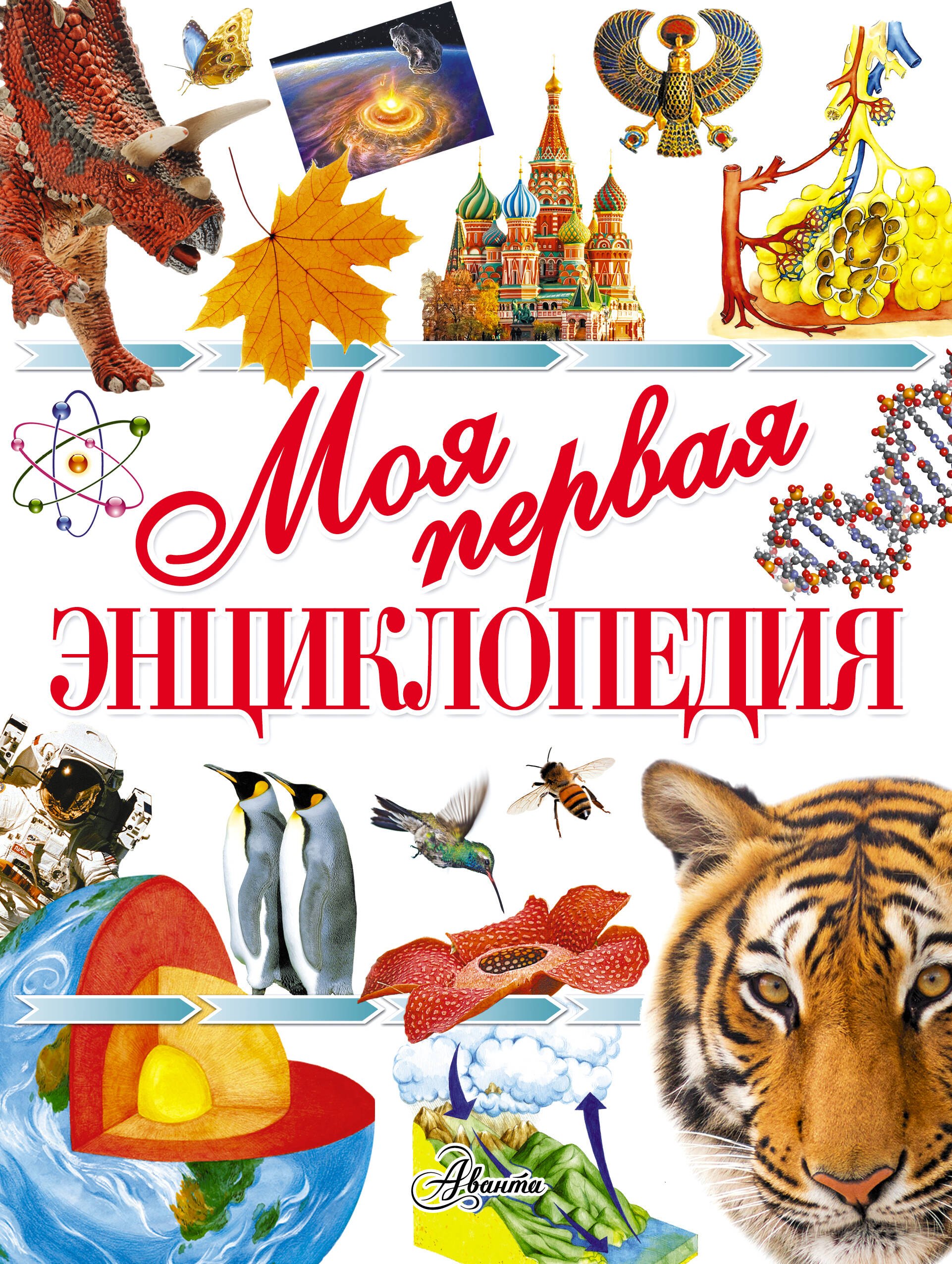 Чайка Елена Степановна: Энциклопедия