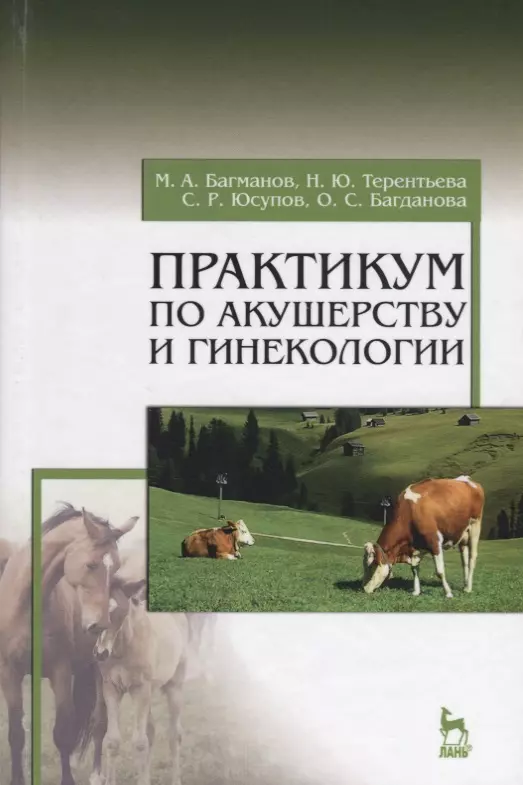 Практикум по акушерству и гинекологии. Учебн. пос., 1-е изд.