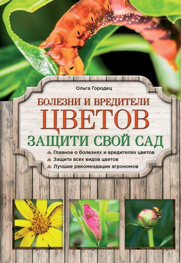 

Болезни и вредители цветов. Защити свой сад