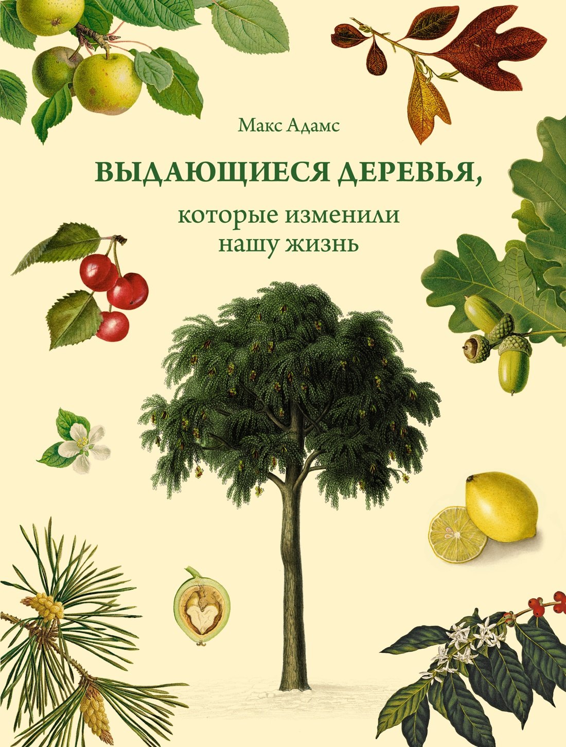 

Выдающиеся деревья, которые изменили нашу жизнь