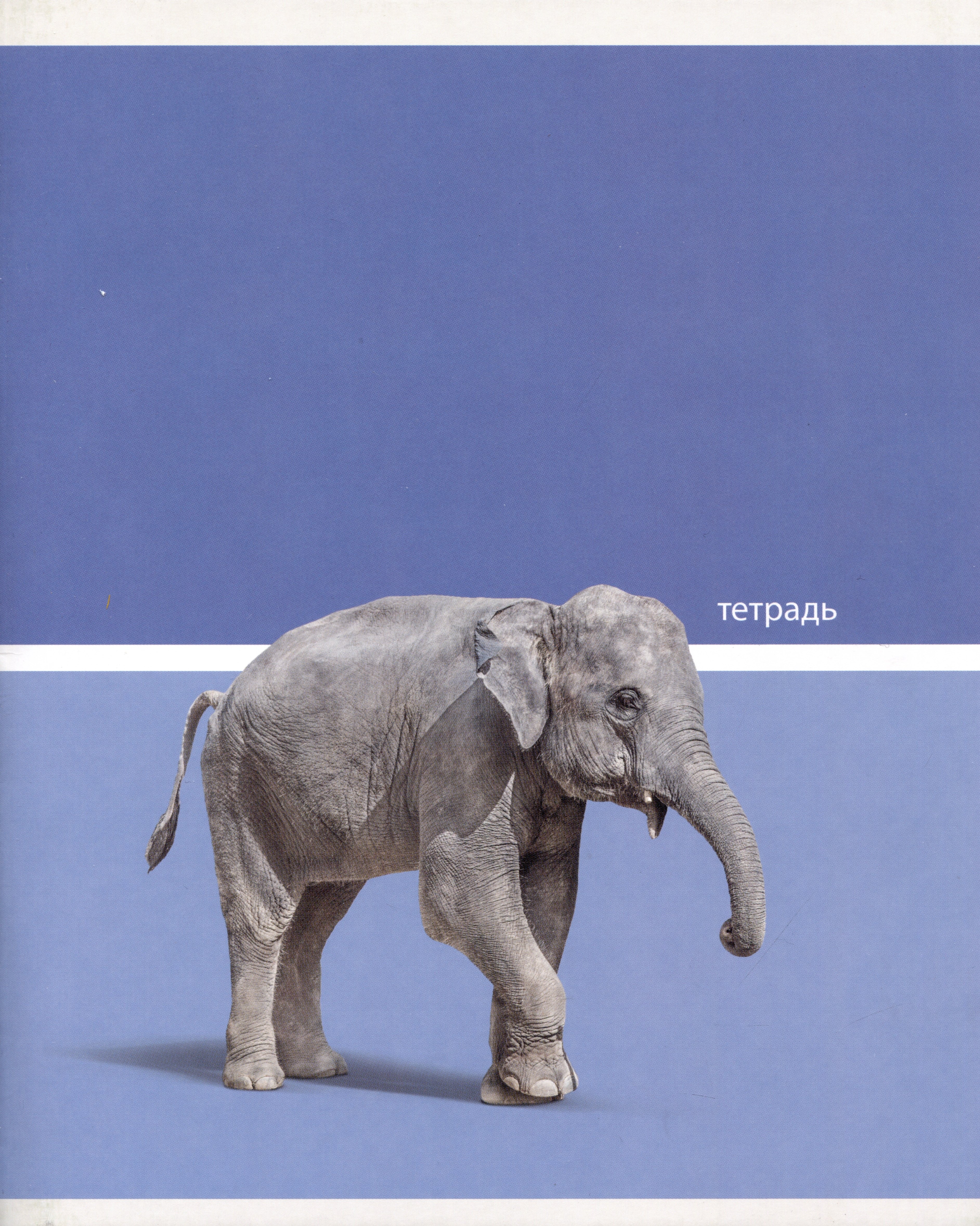 

Тетрадь в клетку Listoff, Wild Animals, 48 листов, в ассортименте