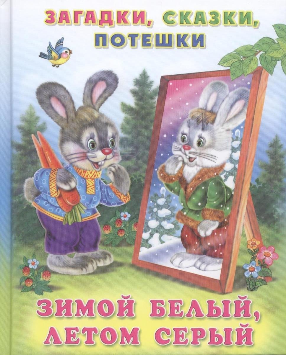 Загадка зимой и летом 1 цветом