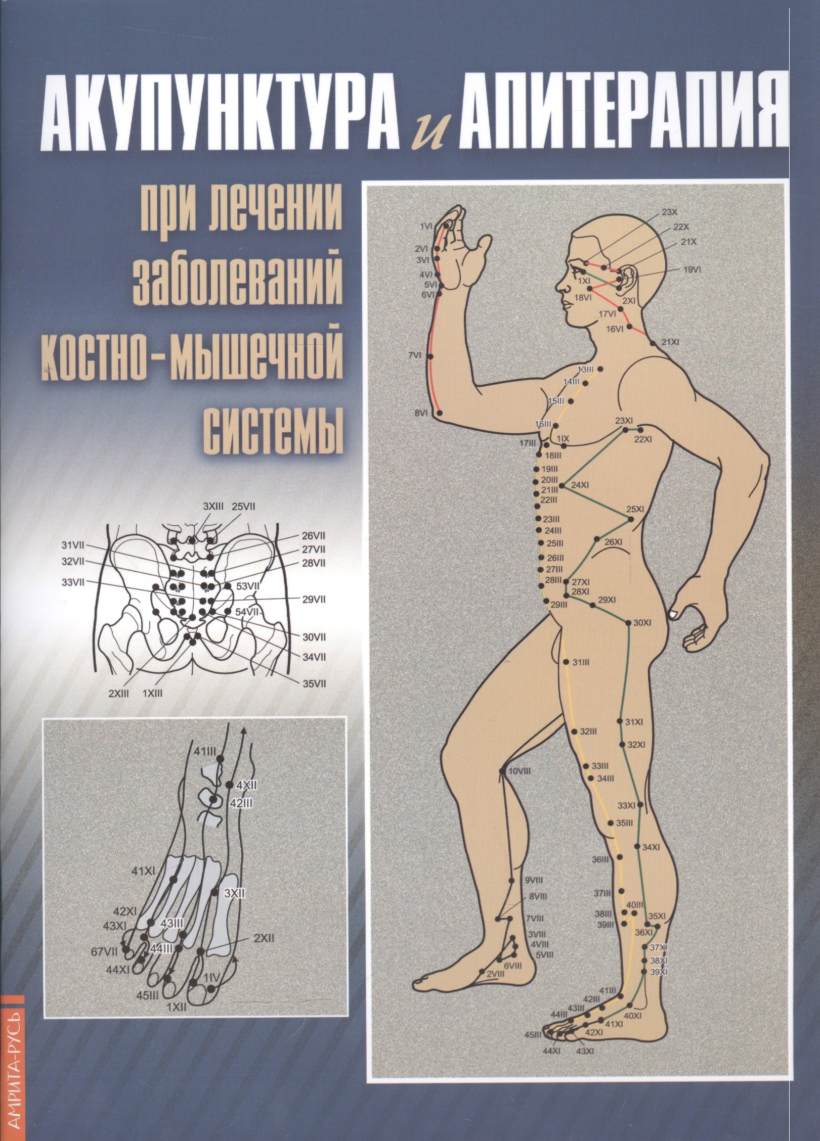 

Акупунктура и апитерапия при лечении заболеваний костно-мышечной системы. Практическое руководство