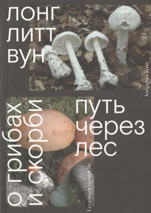 Вун Лонг Литт: Путь через лес. О грибах и скорби