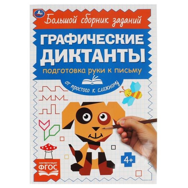 

Графические диктанты. Подготовка руки к письму. От простого к сложному