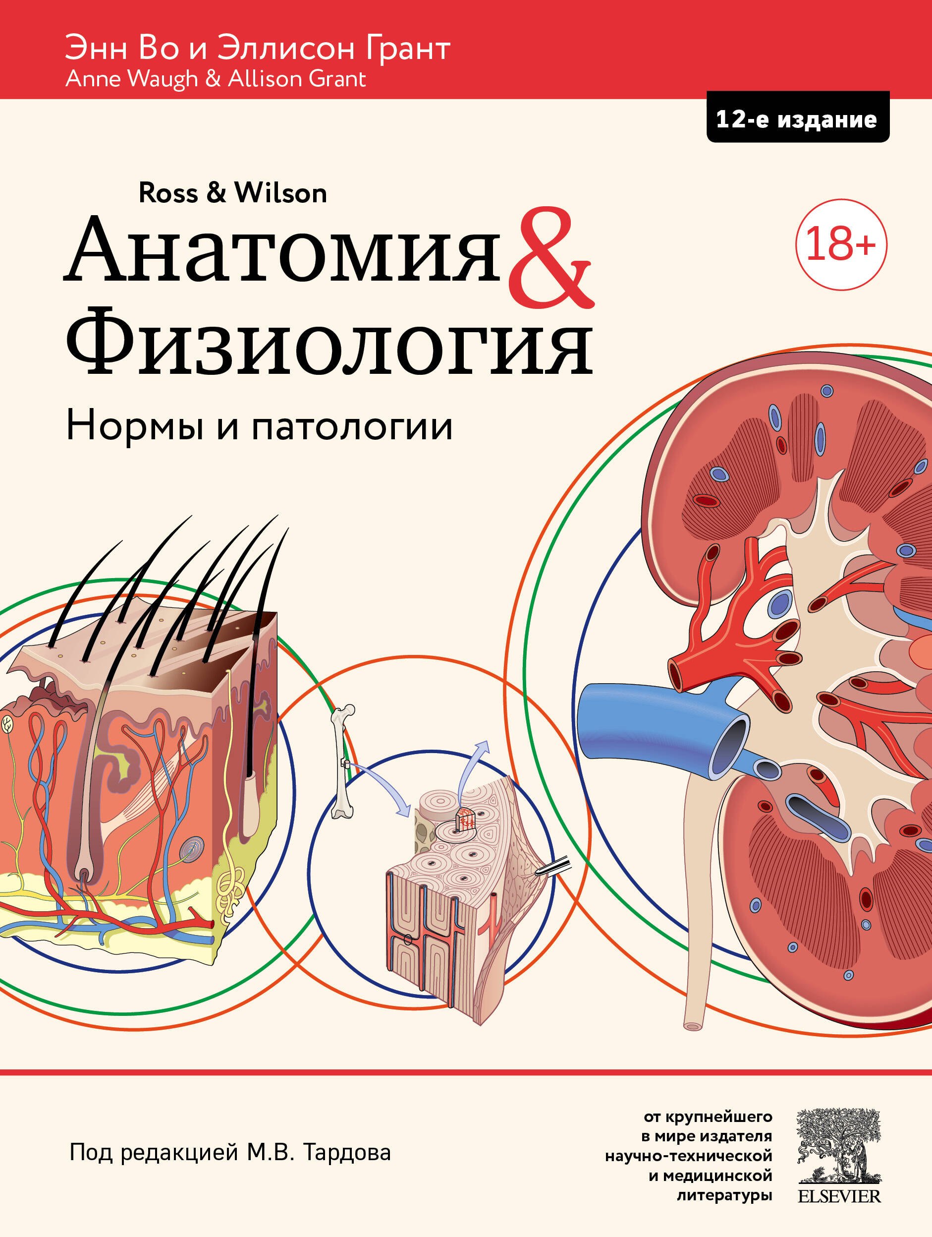 

Анатомия и физиология. Нормы и патологии