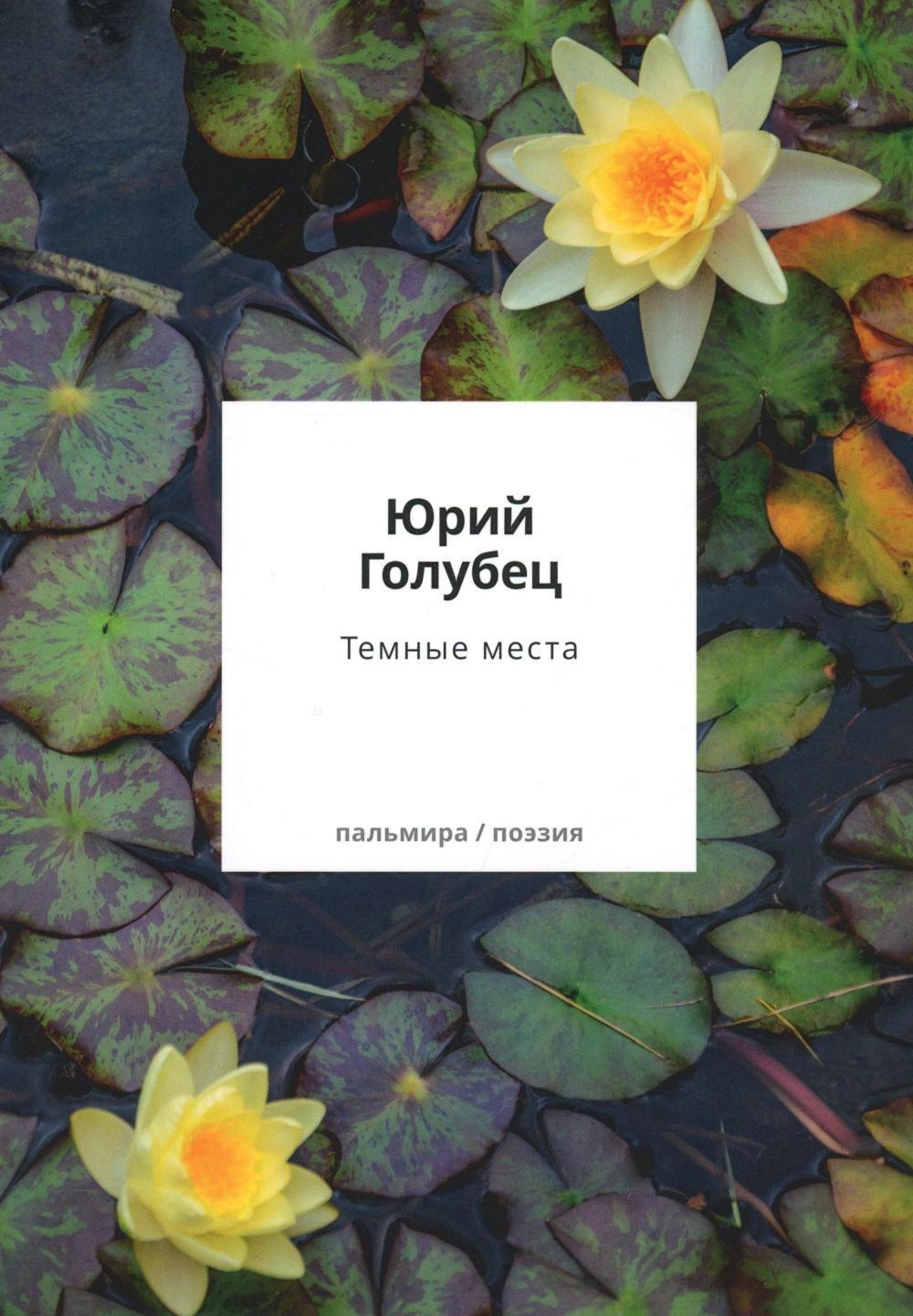 

Темные места. Вторая книга песен