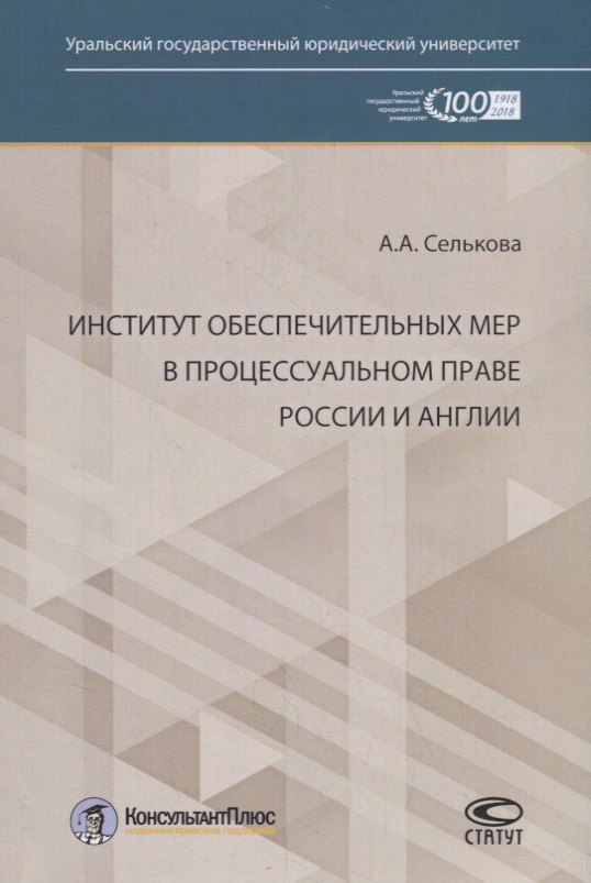 

Институт обеспечительных мер в процессуальном праве России и Англии