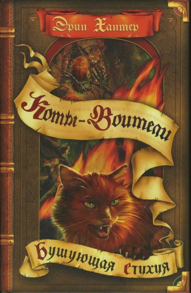 Бушующая стихия 610₽