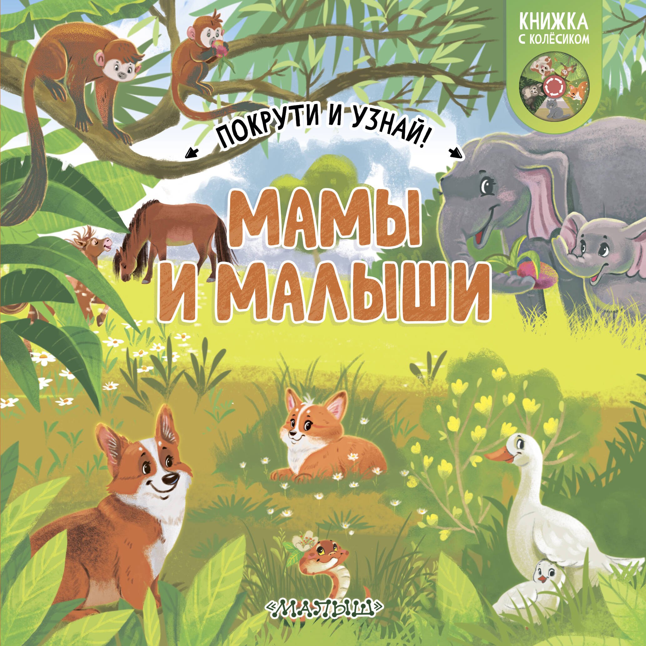 Мамы и малыши 649₽