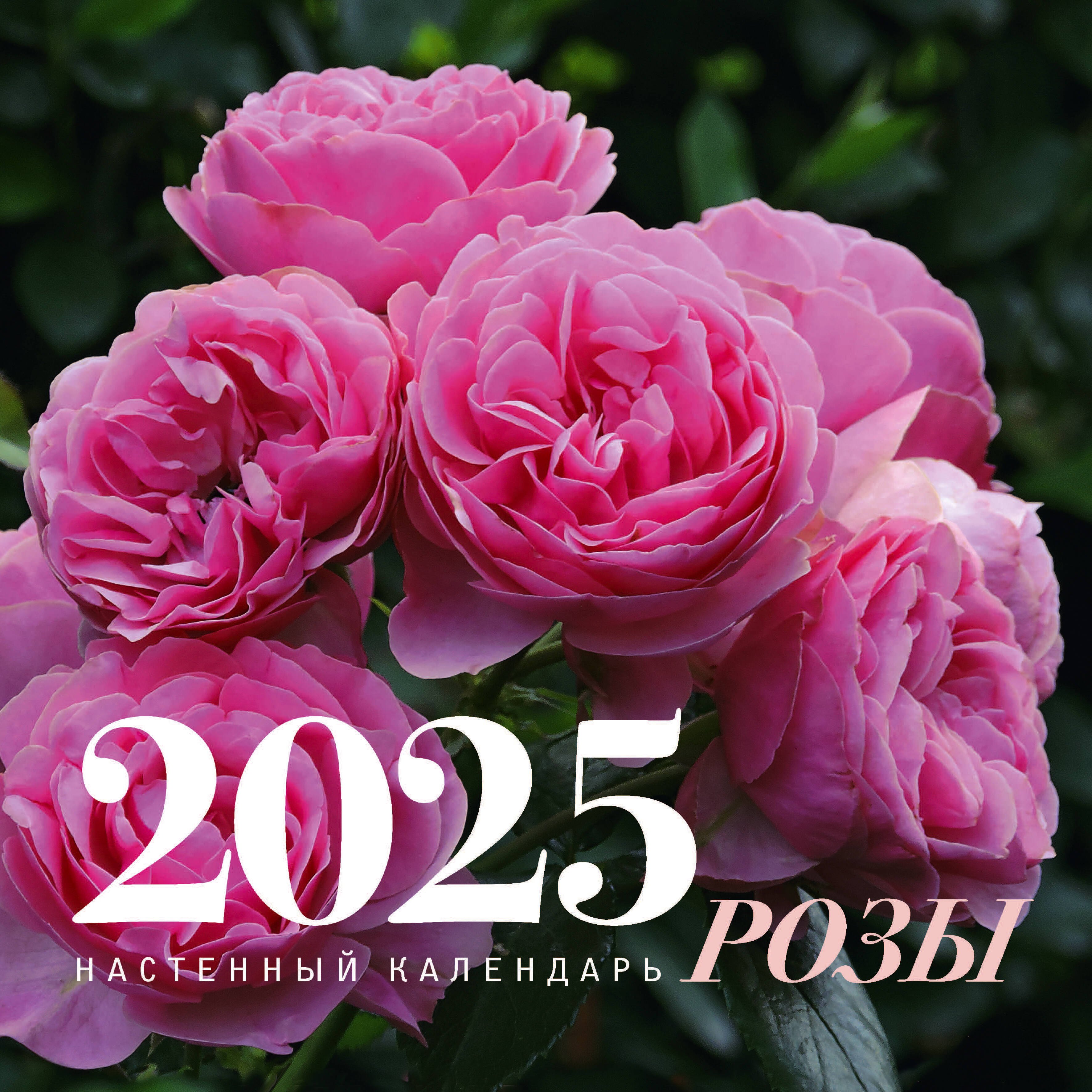 

Календарь 2025г 300*300 "Розы" настенный, на скрепке