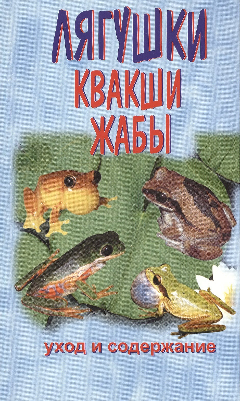 

Квакши. Жабы. Лягушки. Уход и содержание