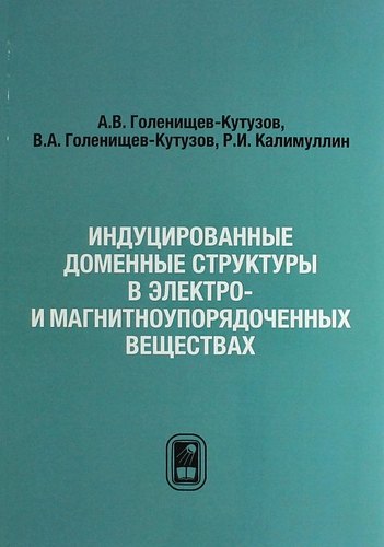 Индуцированные доменные структуры в электро- и магнитоупорядоченных веществах 809₽