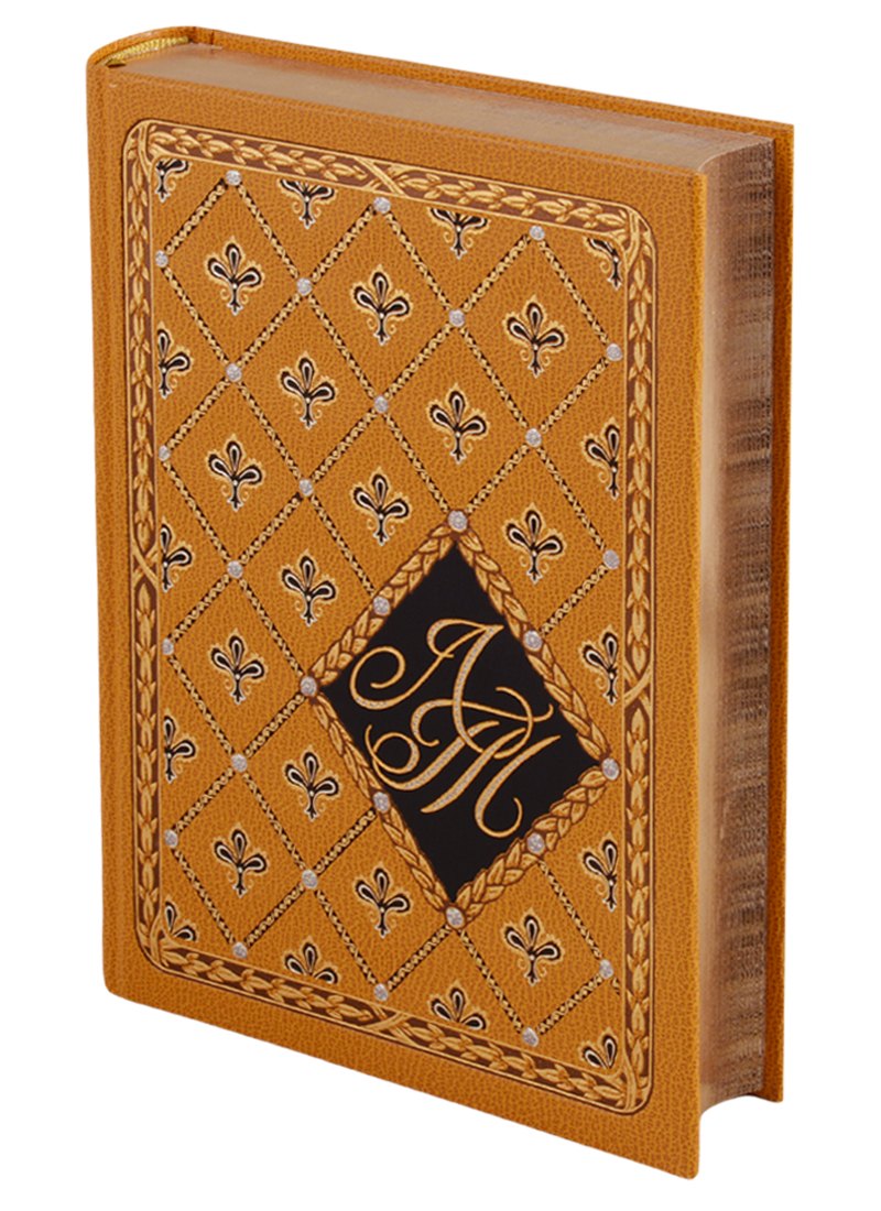 

Детство. Отрочество. Юность