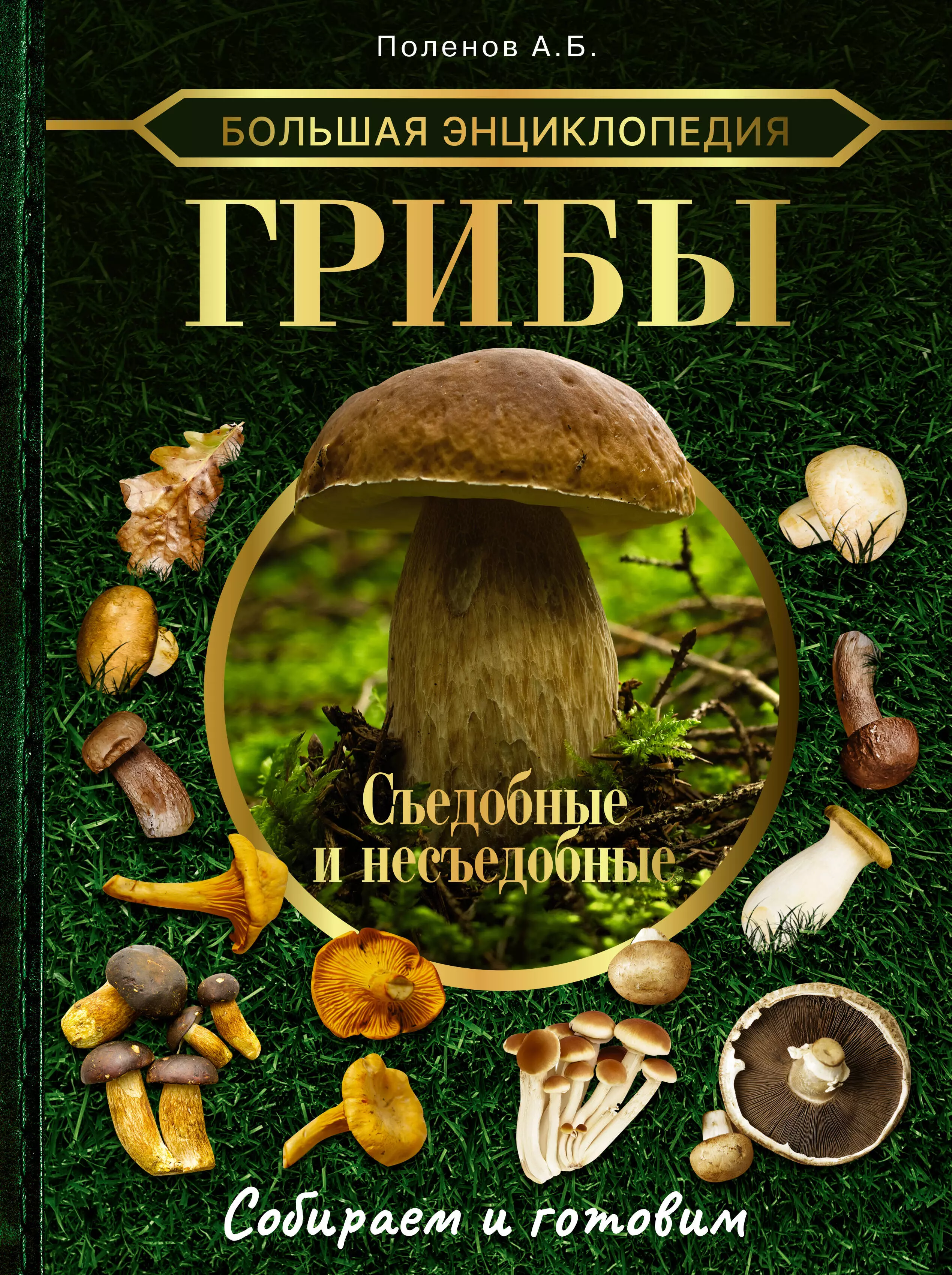 Книги с рецептами блюд из грибов. / Съедобные грибы, ягоды, травы