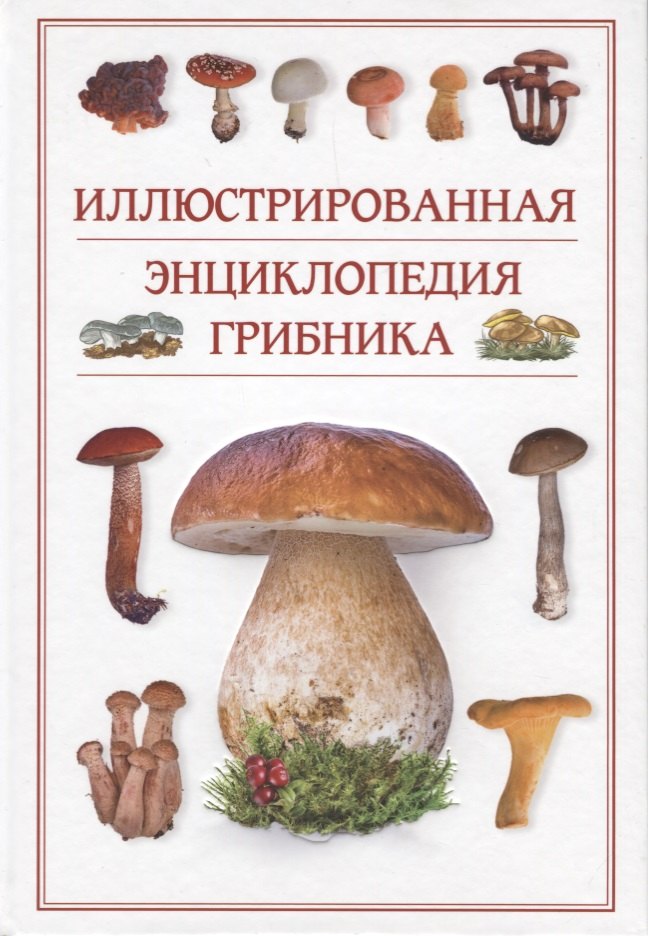 

ЛучшКнГрибника Иллюстрированная энциклопедия грибника.