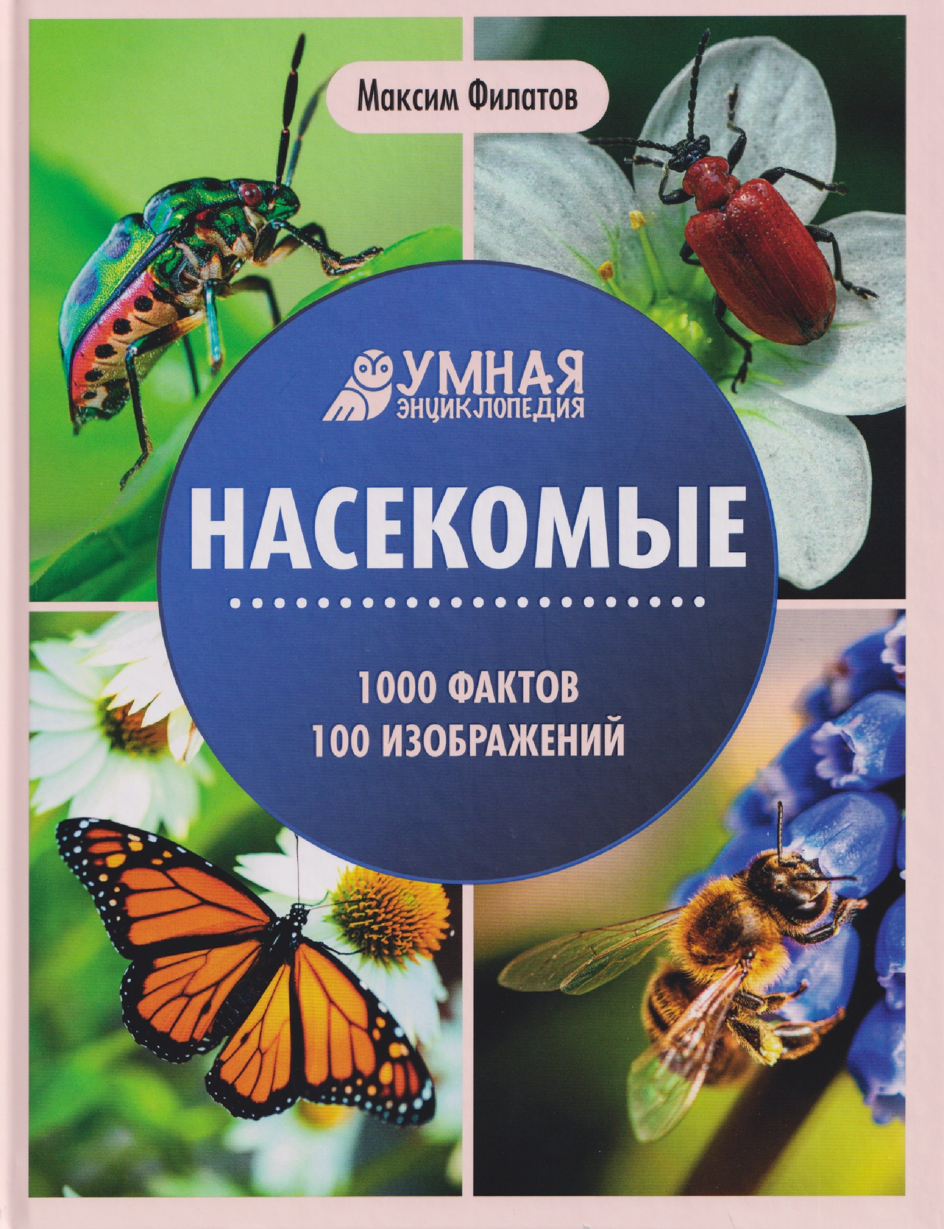 Насекомые энциклопедия 829₽