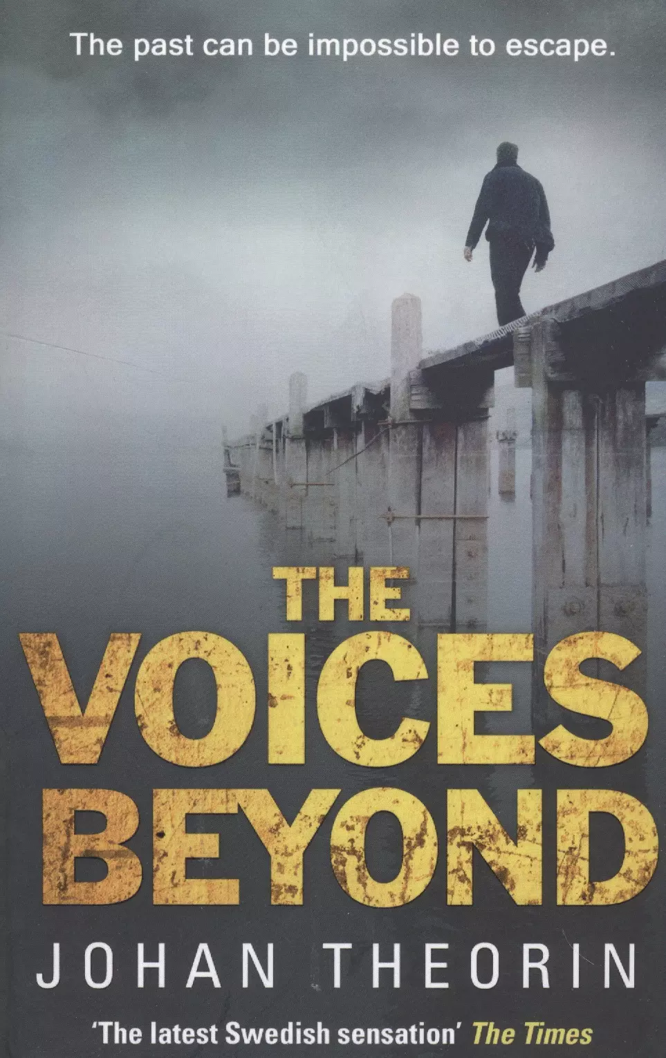 The Voices Beyond