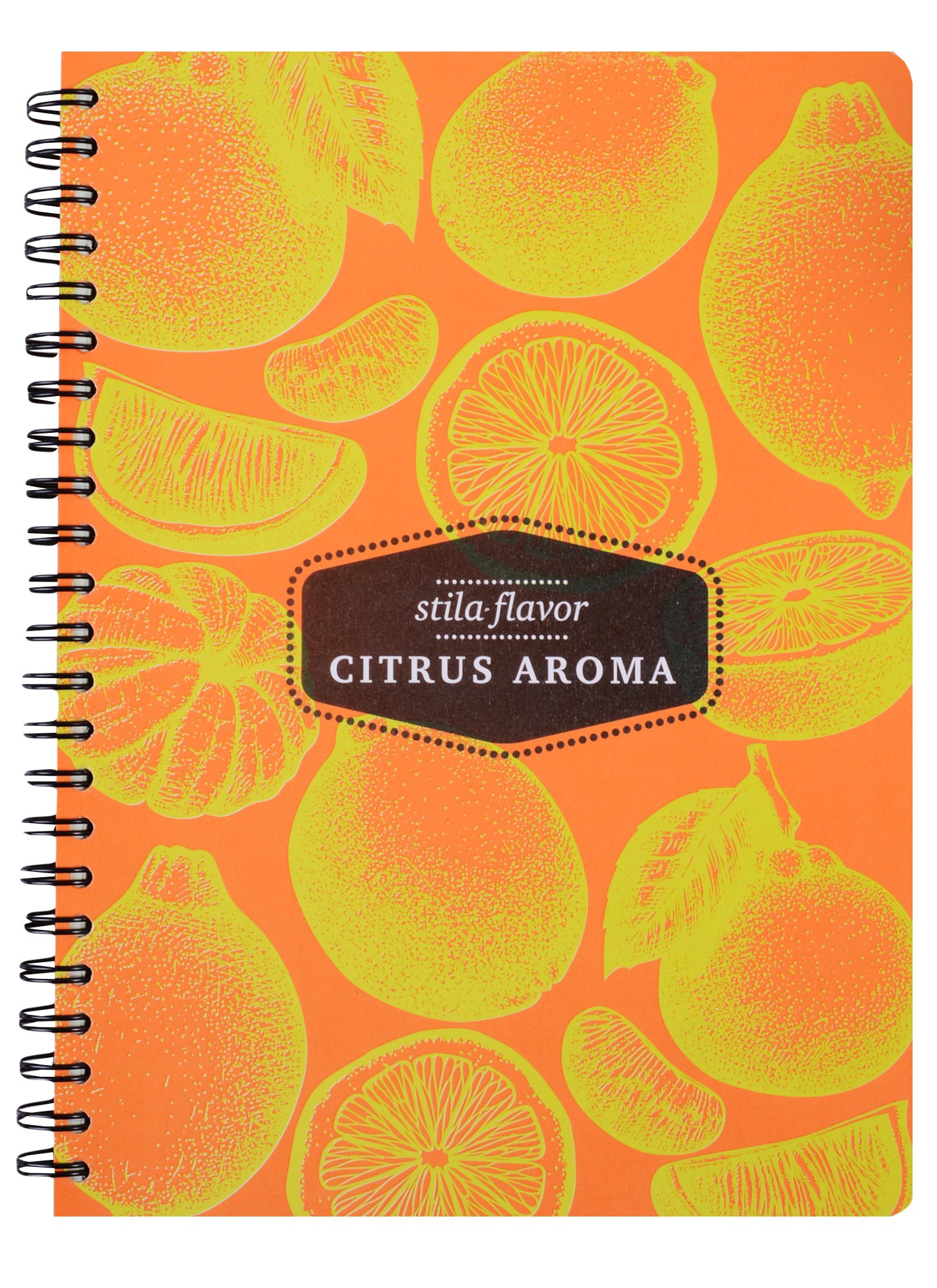 

Тетрадь в клетку Stila, Citrus, 100 листов