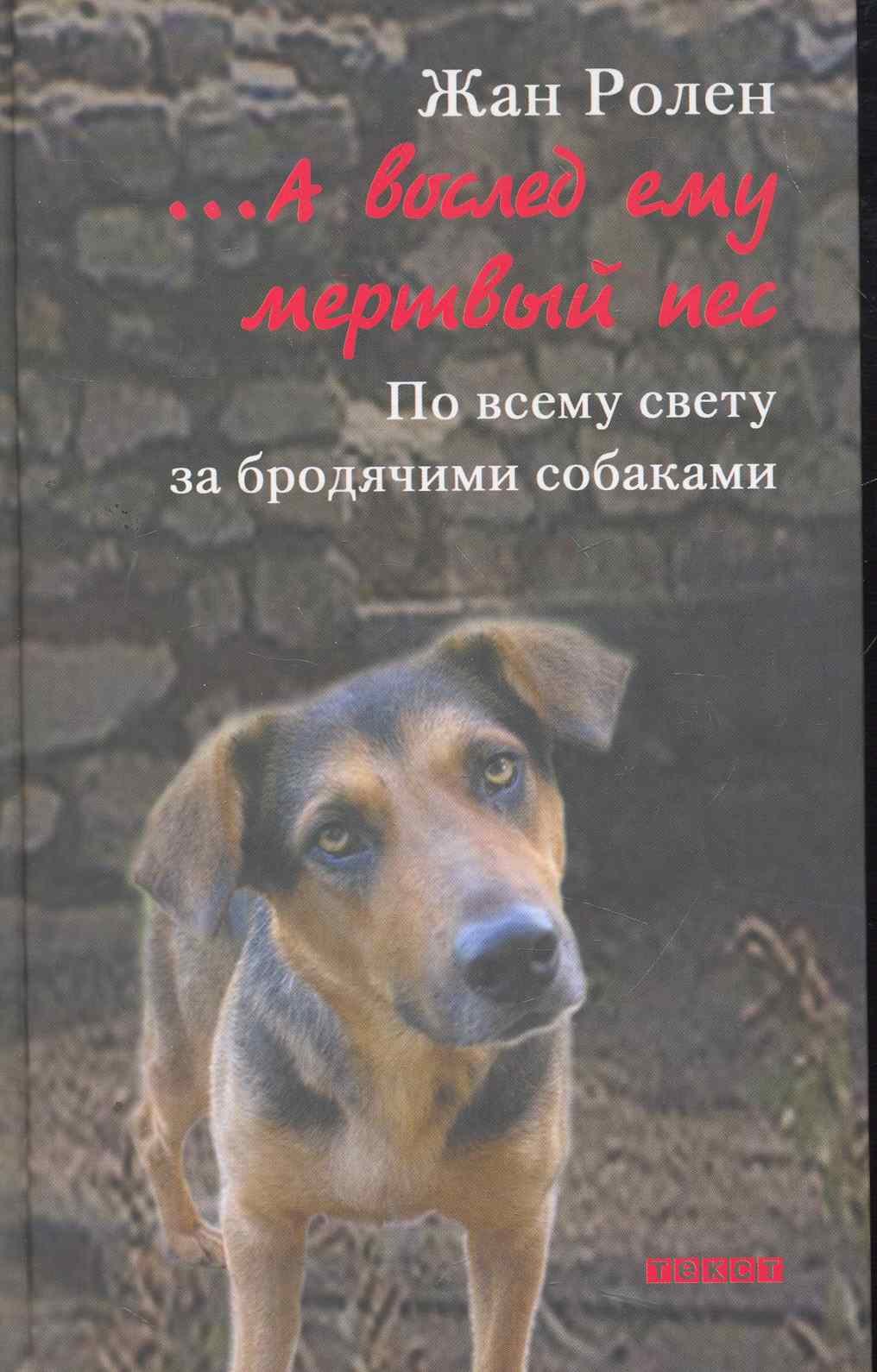 А вослед ему мертвый пес По всему свету за бродячими собаками 180₽