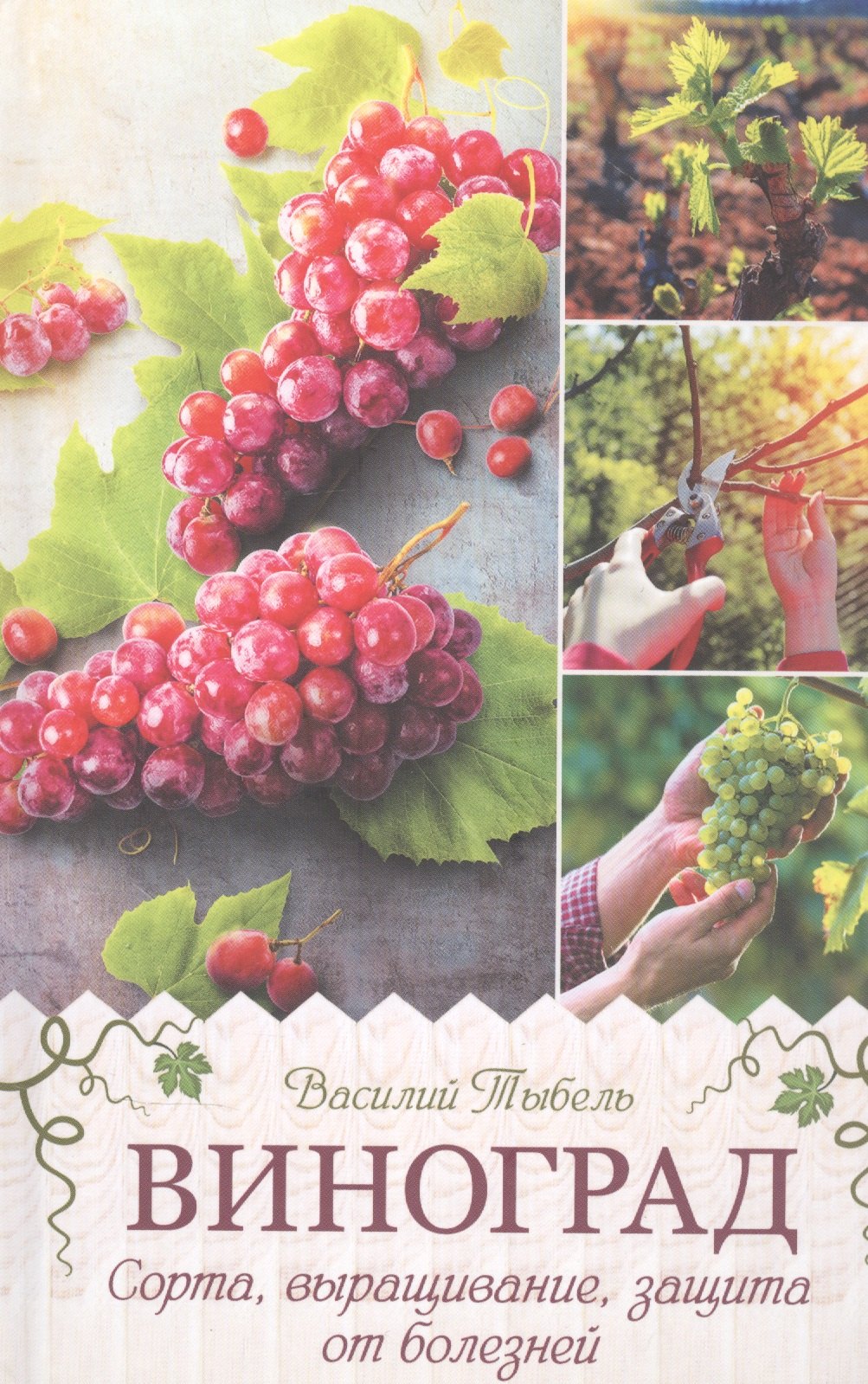 

Виноград. Сорта, выращивание, защита от болезней