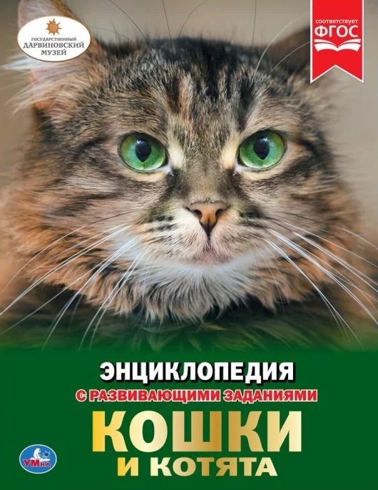 Седова Наталья Владимировна: Кошки и котята. Энциклопедия с развивающими заданиями