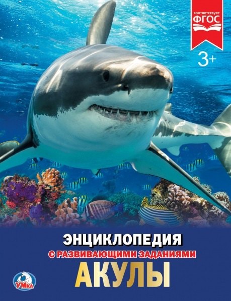 

Акулы
