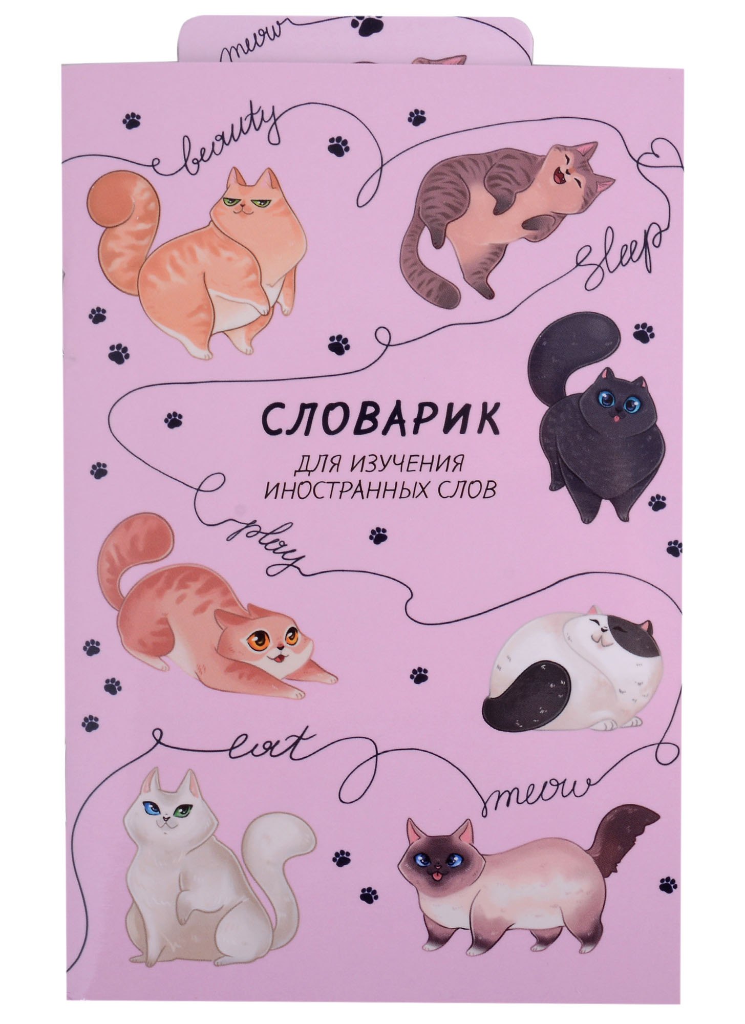 

Тетрадь для записи иностранных слов Феникс+, "Игривые коты", А6, 32 листа