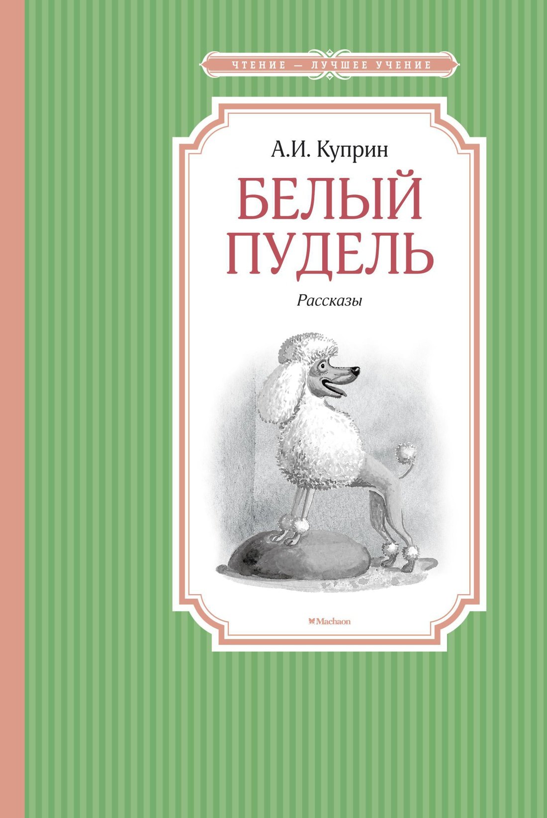 

Белый пудель