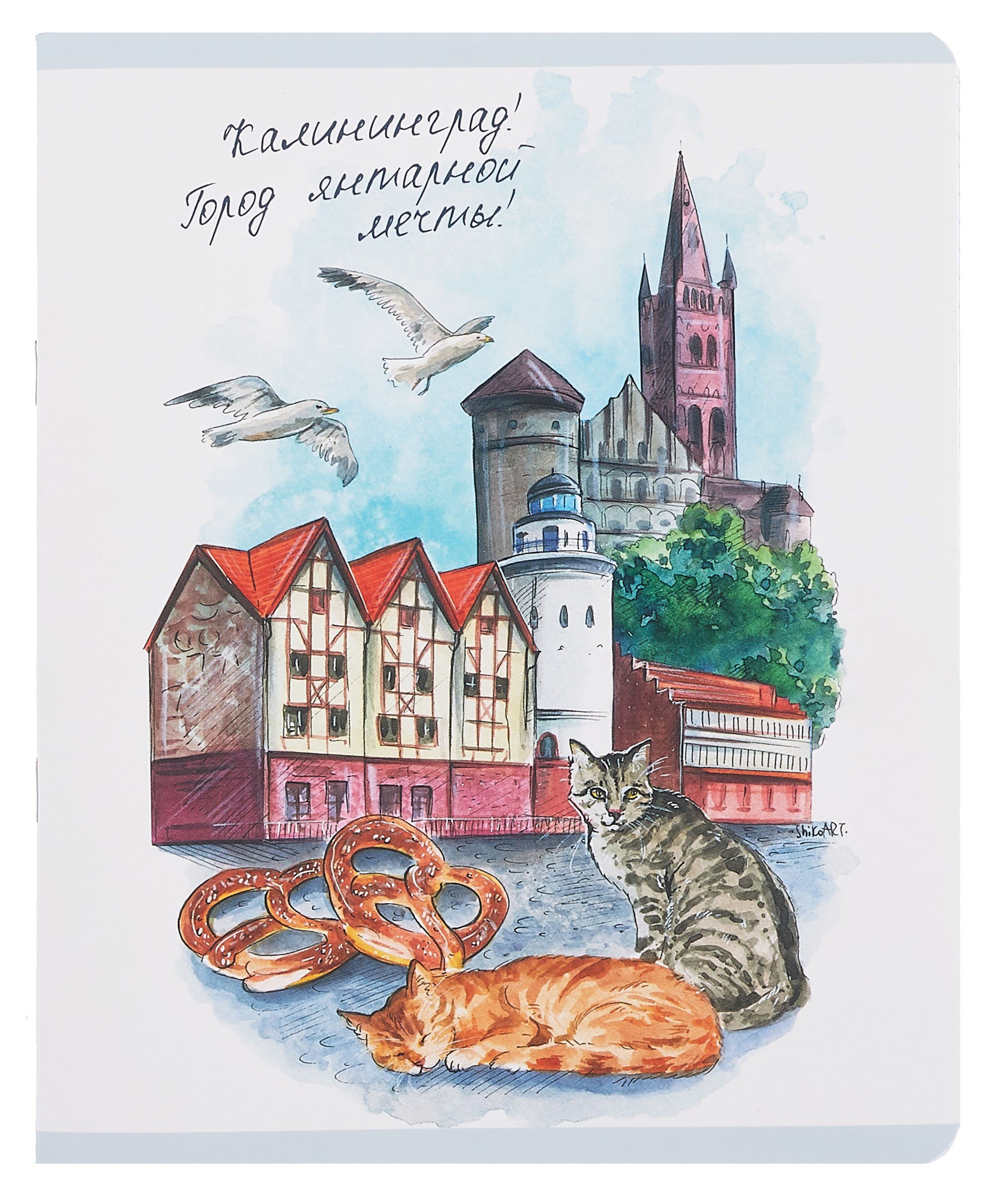 

Тетрадь 48л кл. "Калининград" мел.картон, ламинация "soft touch", скругл.углы