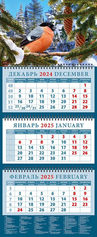 

Календарь квартальный 2025г 320*760 "Снегирь" настенный, трёхблочный, спираль