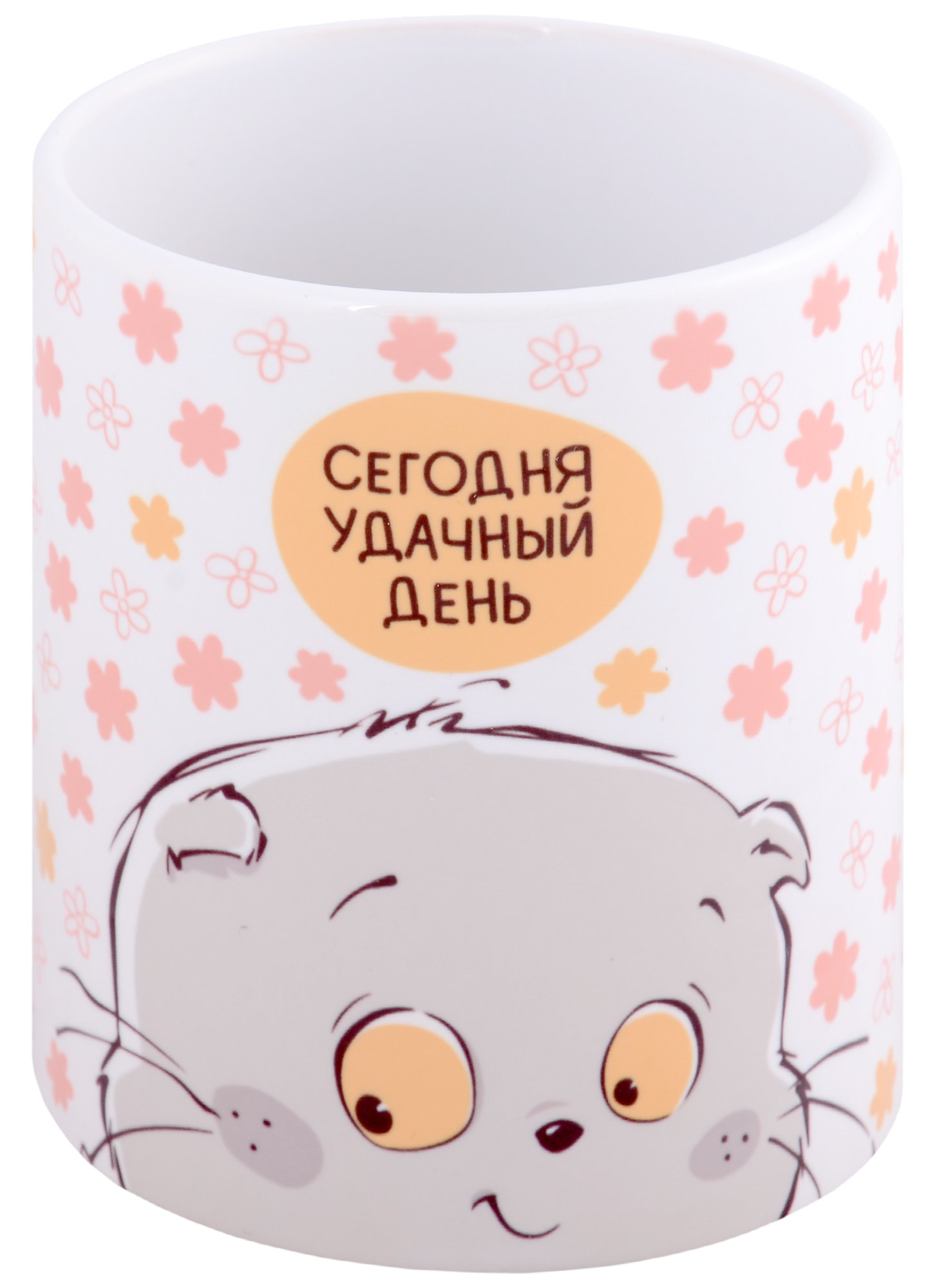 

Кружка Басик Сегодня удачный день (керамика) (330мл) (коробка)
