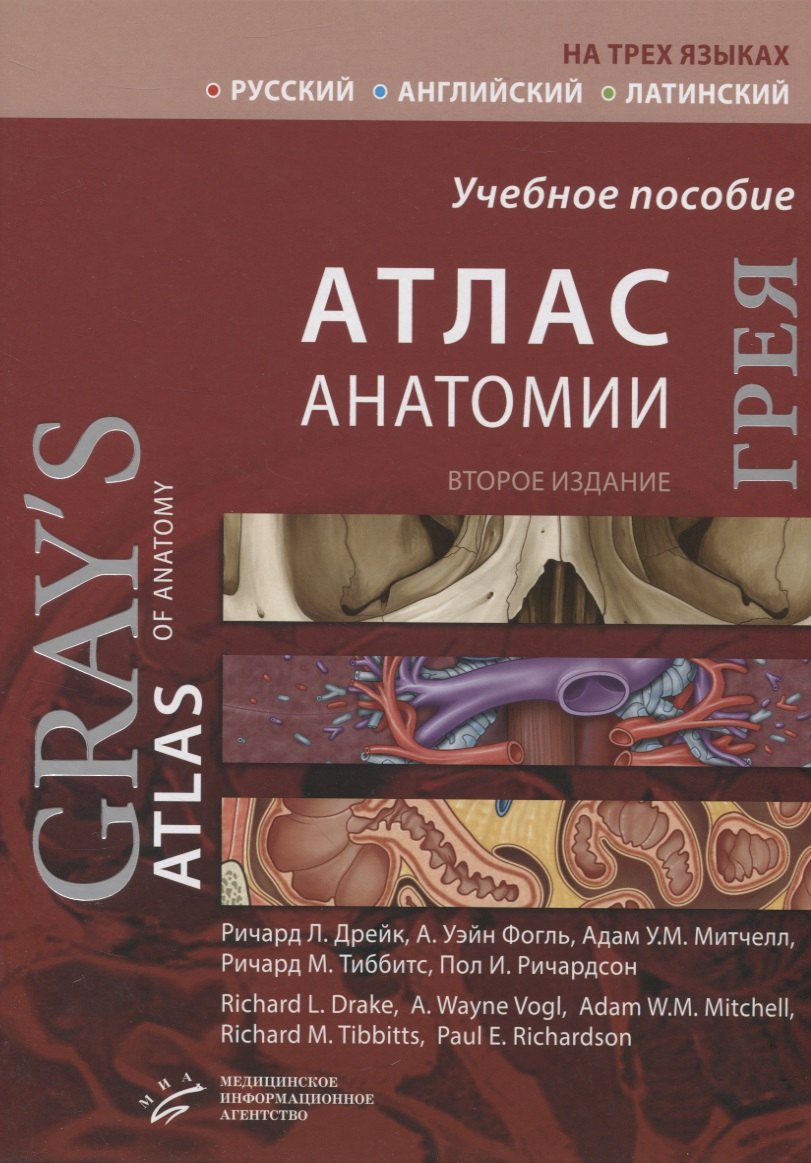 

Атлас анатомии Грея. Учебное пособие (русский, английский, латинский)