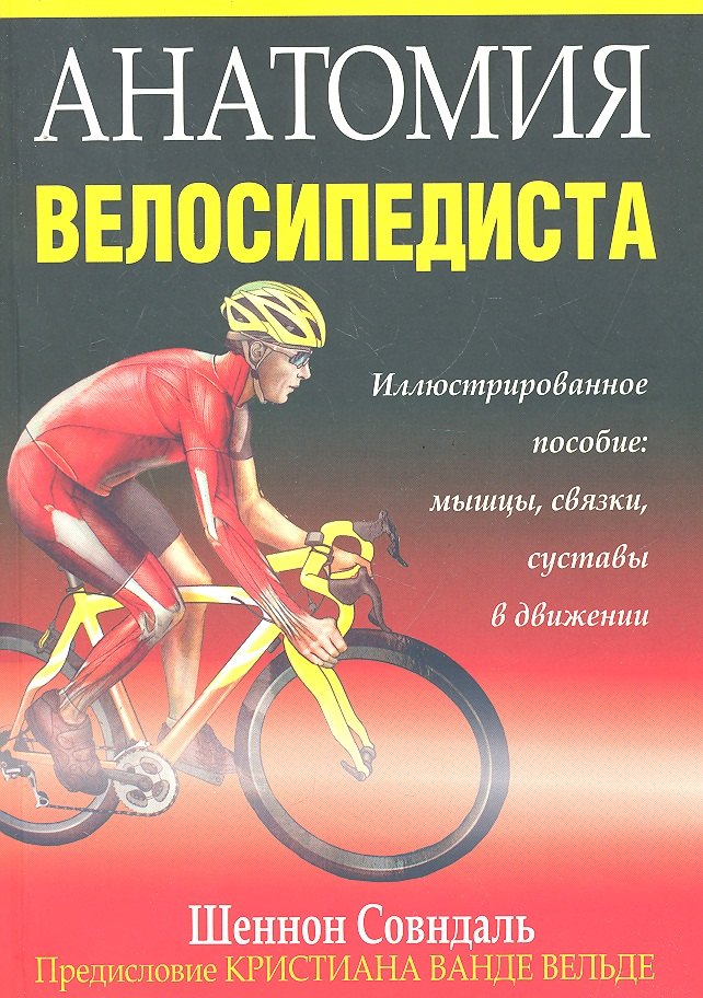 

Анатомия велосипедиста
