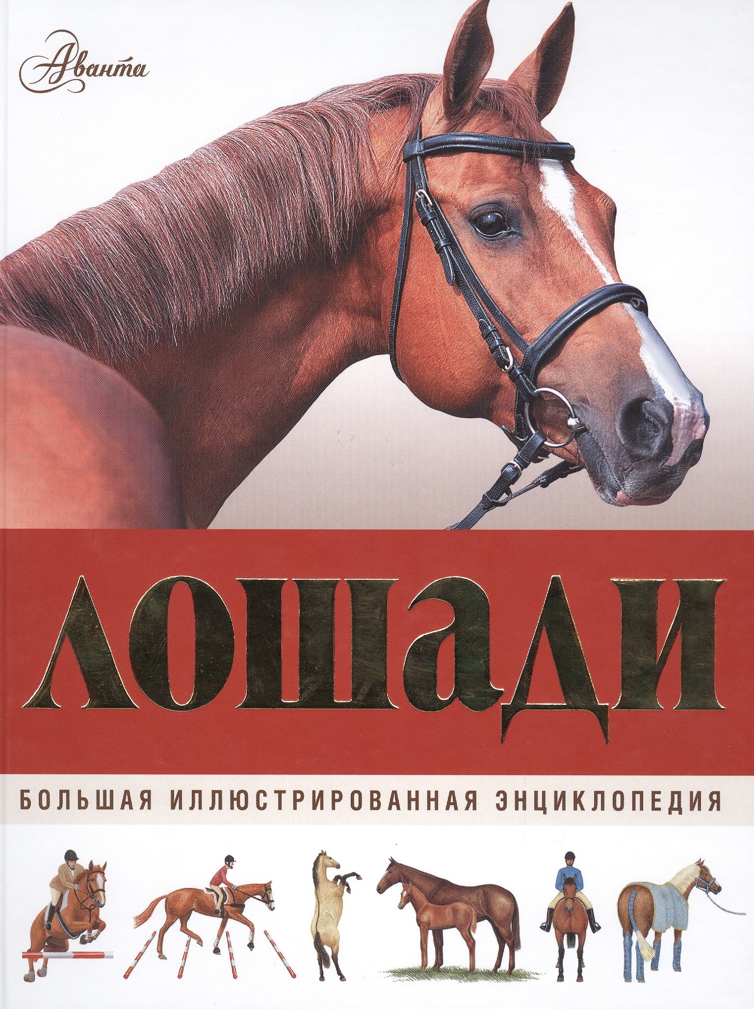 

Большая иллюстрированная энциклопедия. Лошади