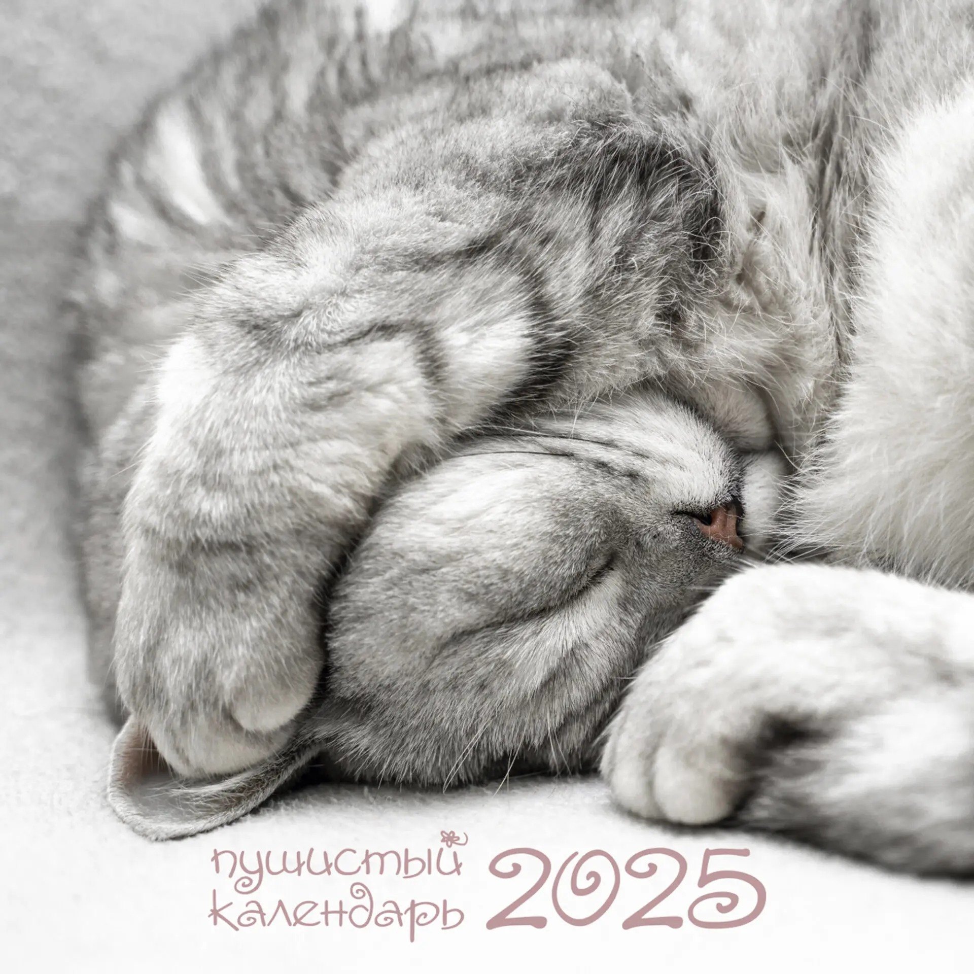 

Календарь 2025г 320*320 "Пушистый календарь" настенный, на спирали